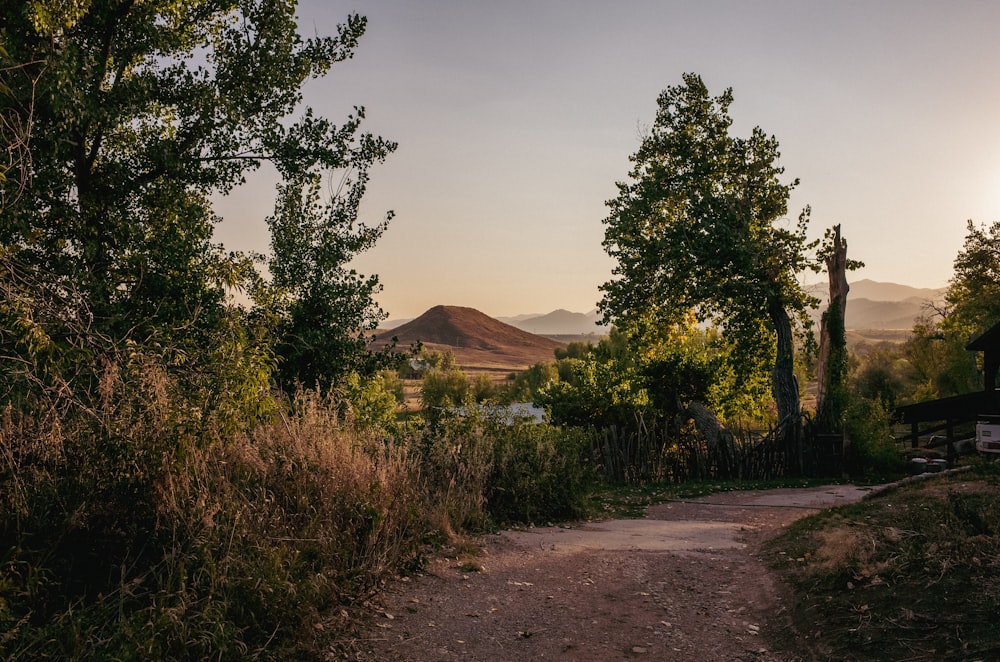 a dirt road with trees and mountains in the background