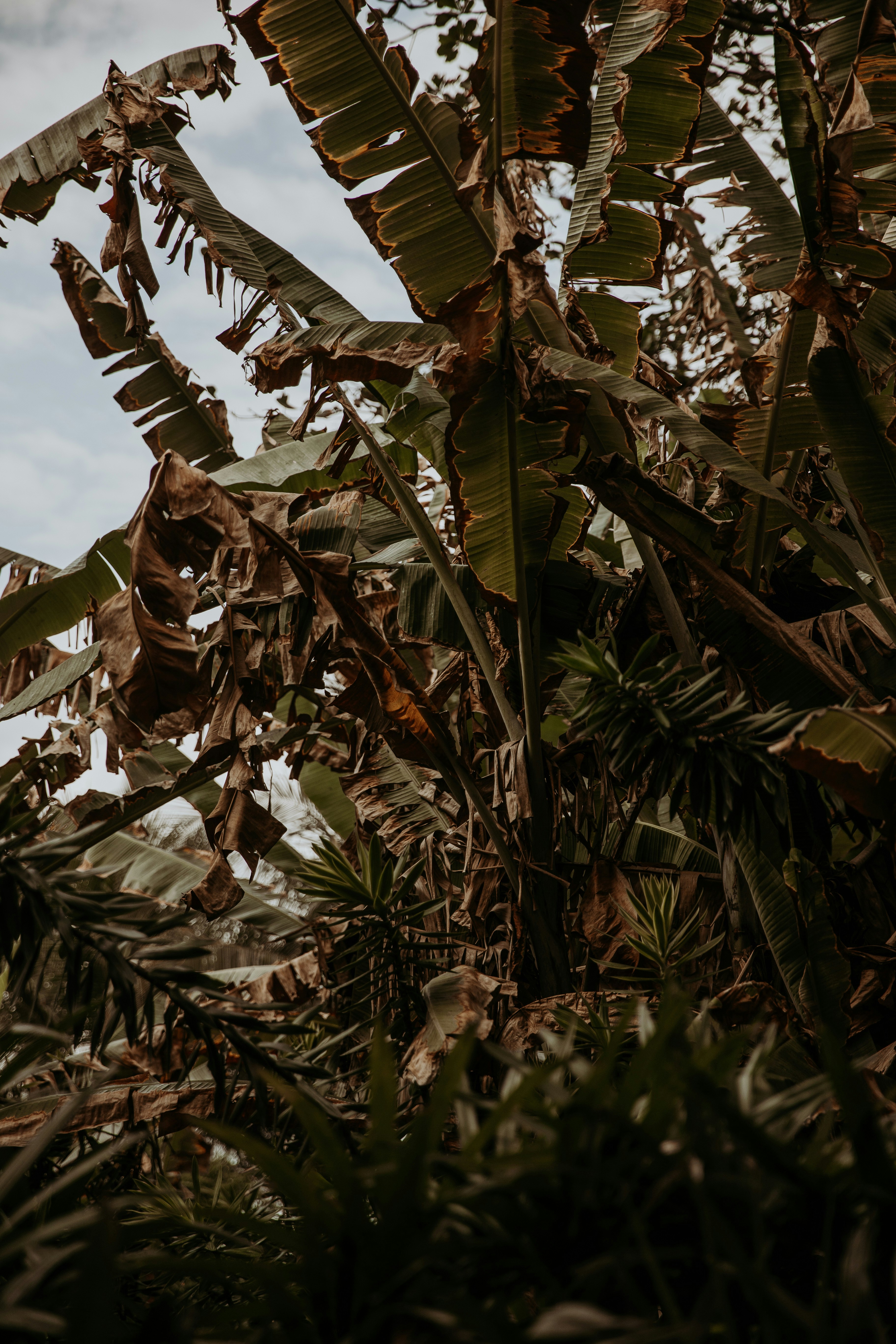 Photo by patresinger