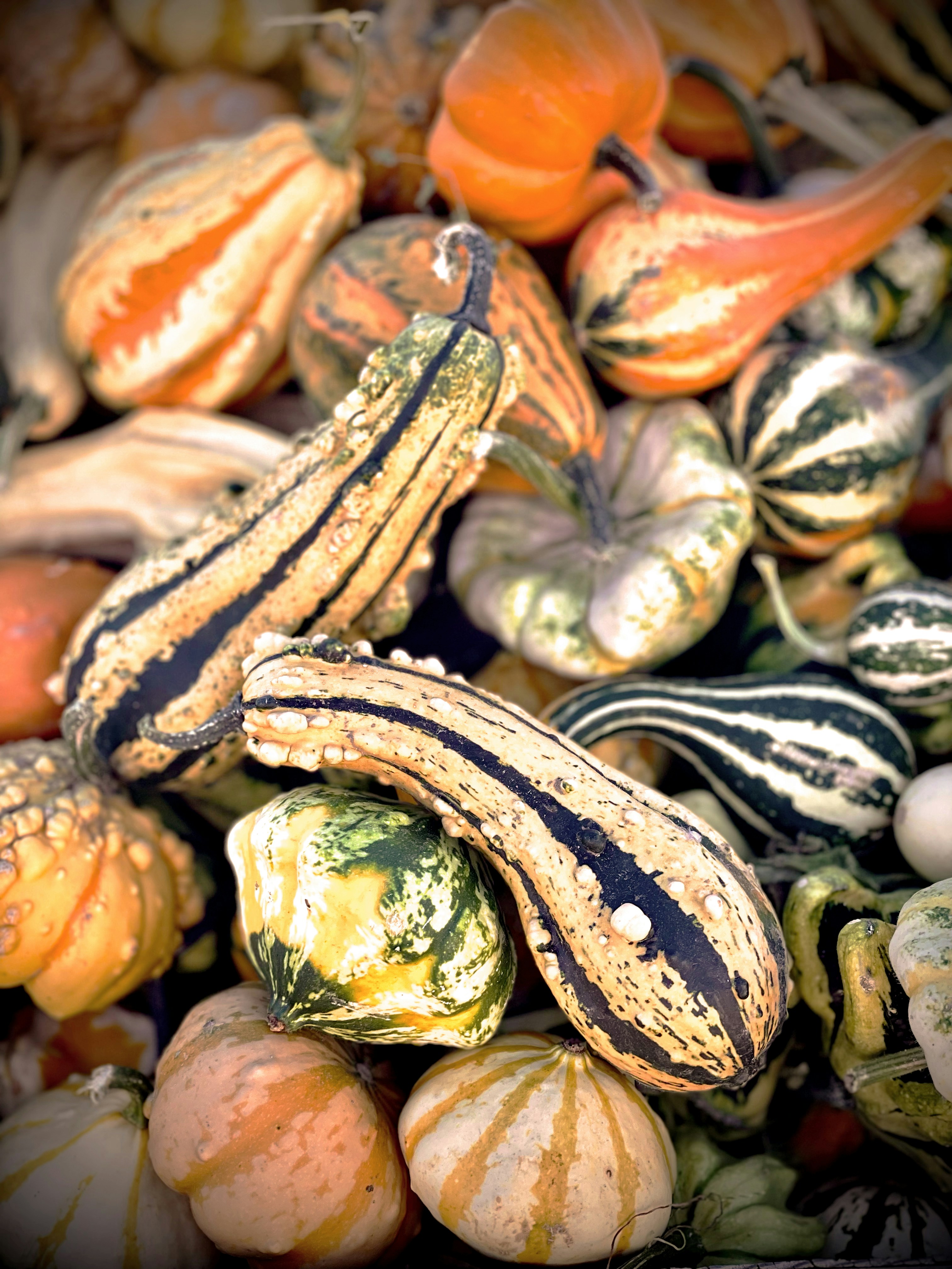 Photo by ryandersones