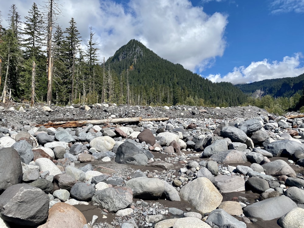 a rocky river bed with a mountain in the background