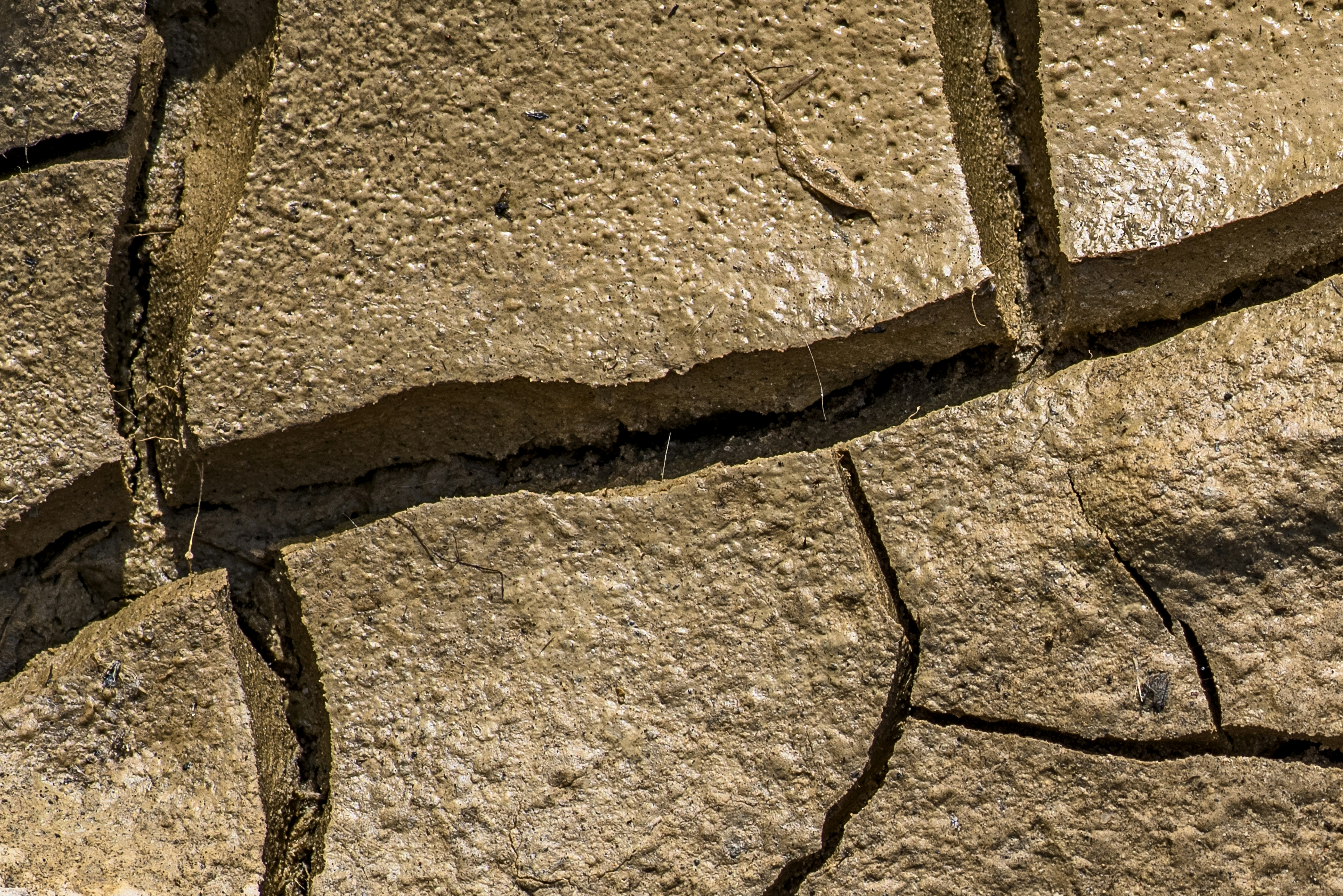 Photo by switch_dtp_fotografie