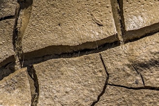 a bird is sitting on a crack in a stone wall