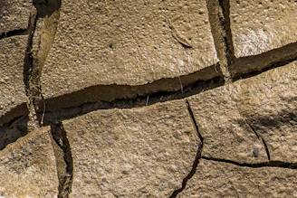 a bird is sitting on a crack in a stone wall