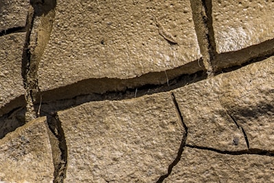 a bird is sitting on a crack in a stone wall