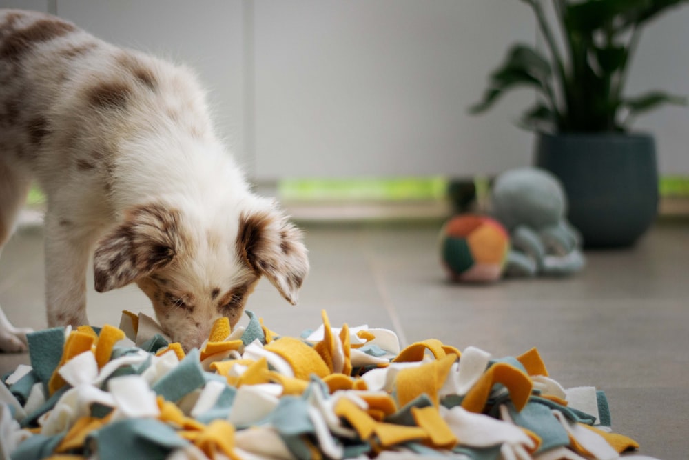 a puppy playing with a pile of shredded paper