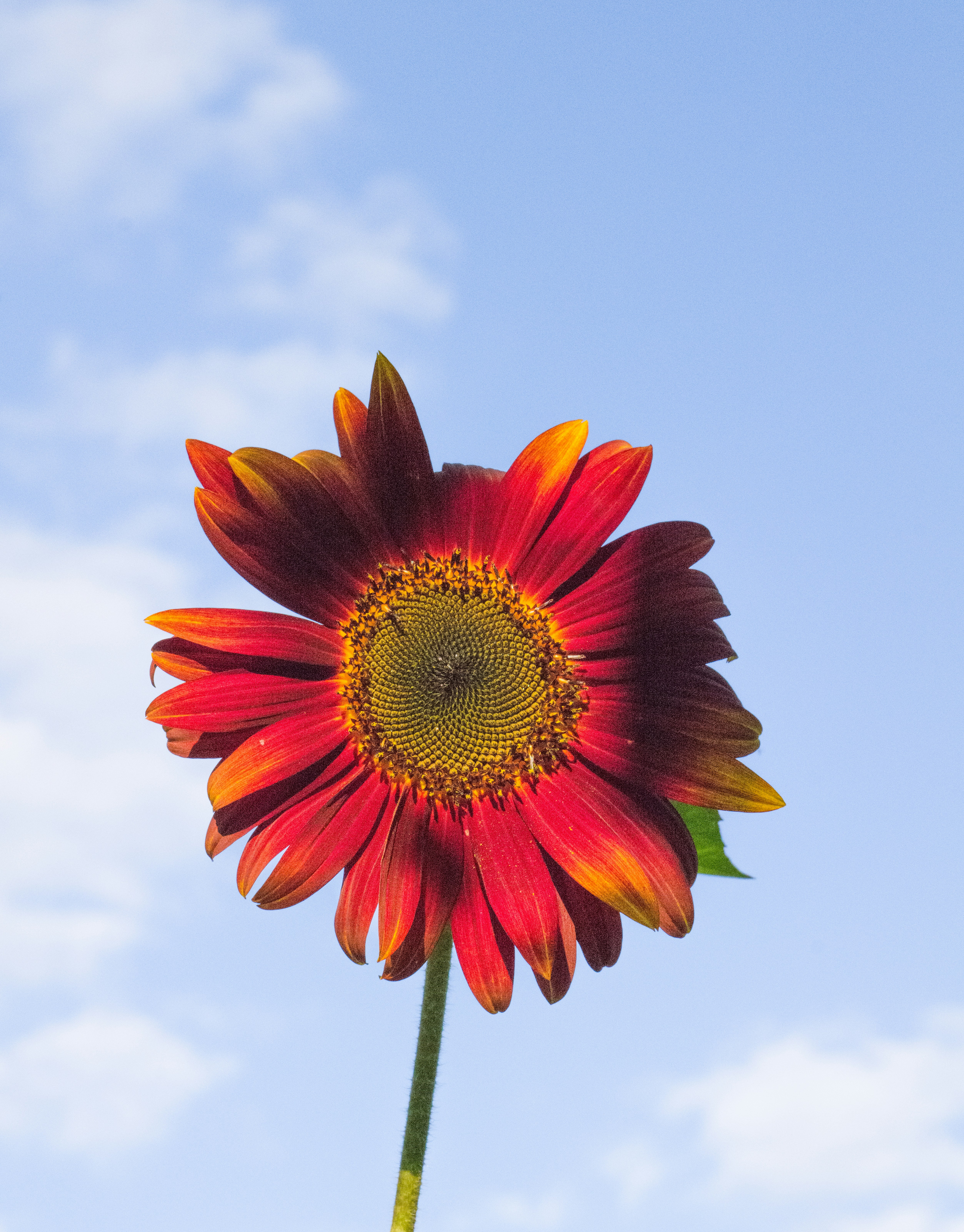 Photo by georgeiermann