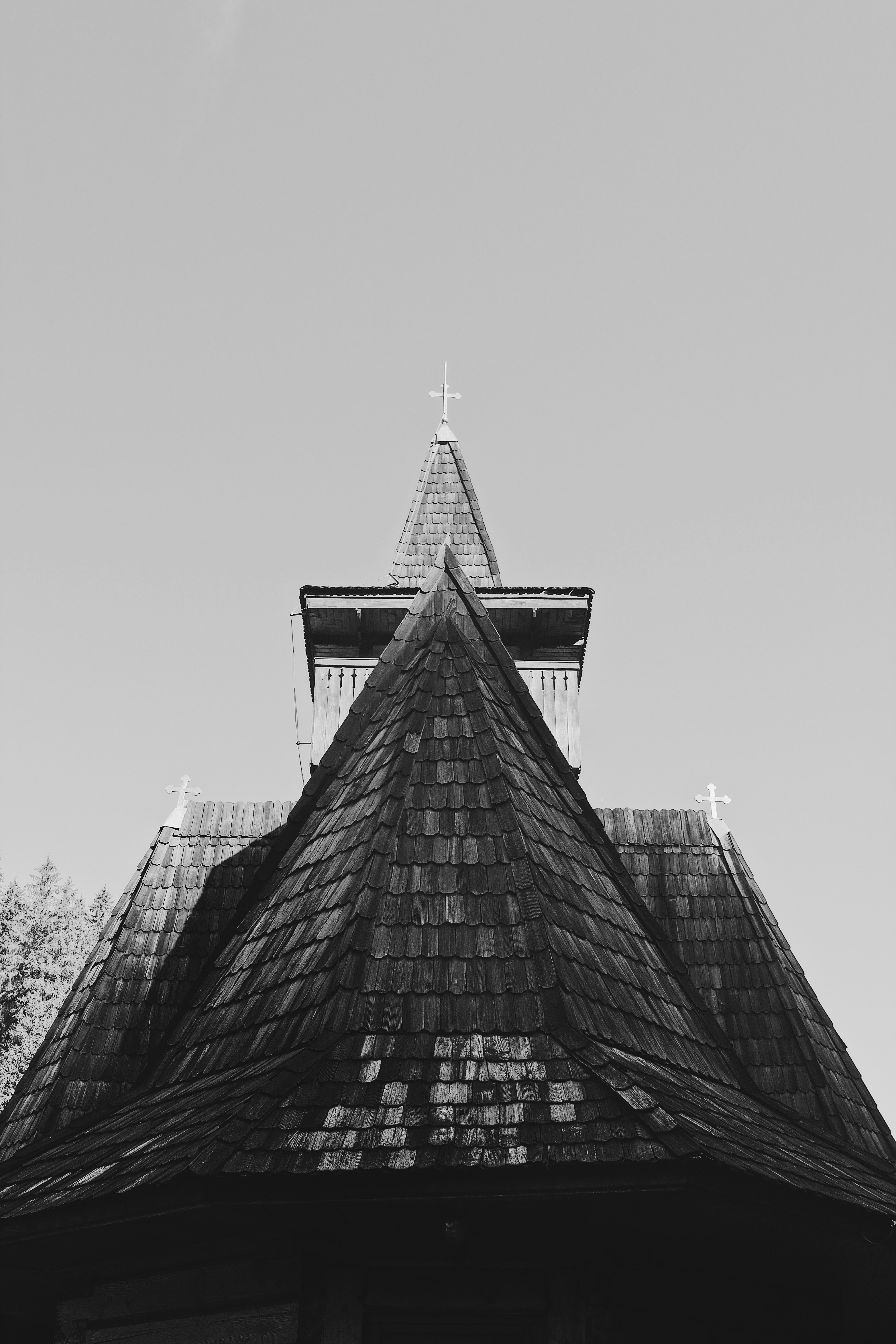 Photo by mtulard