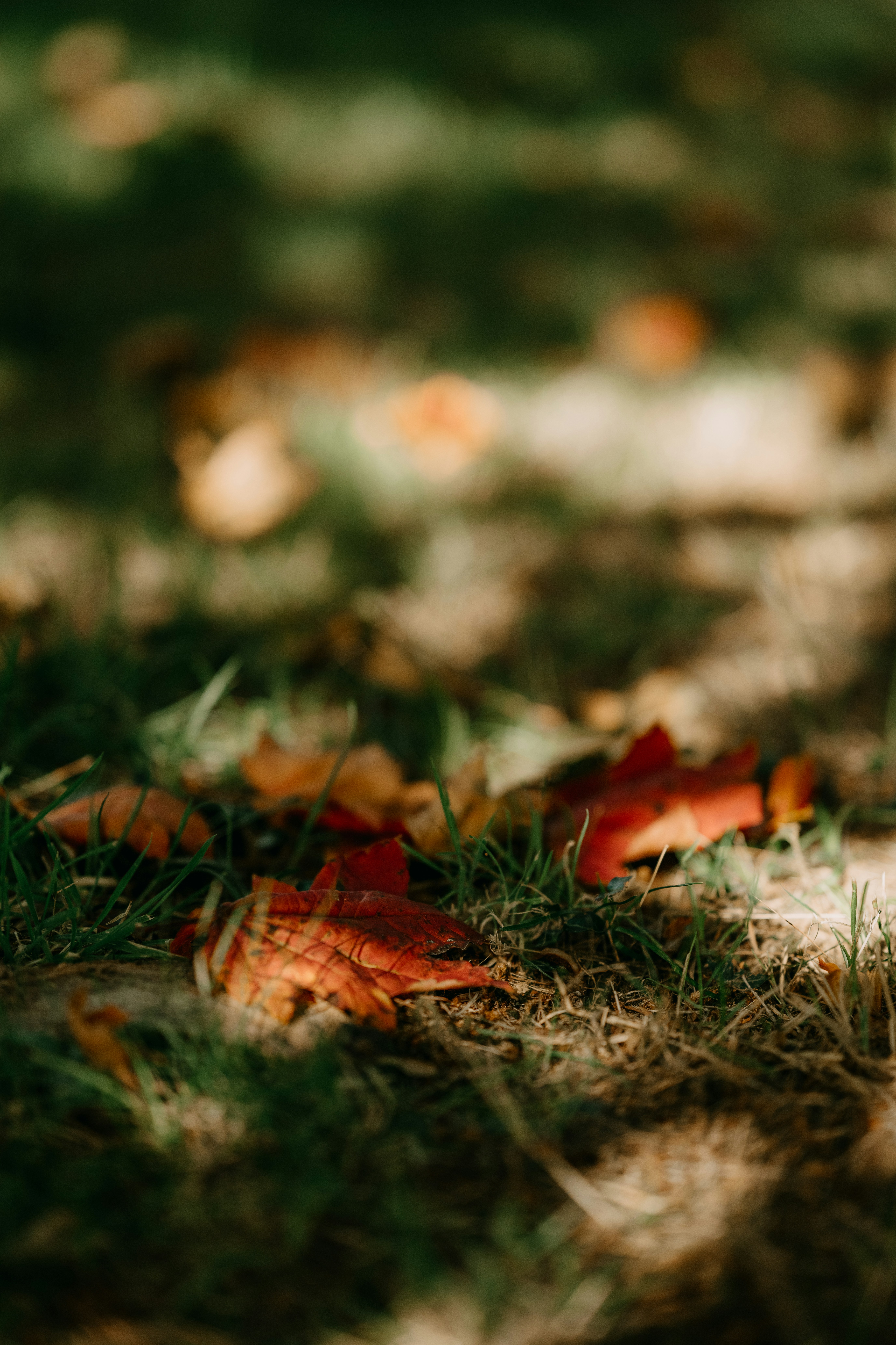 Photo by anniespratt