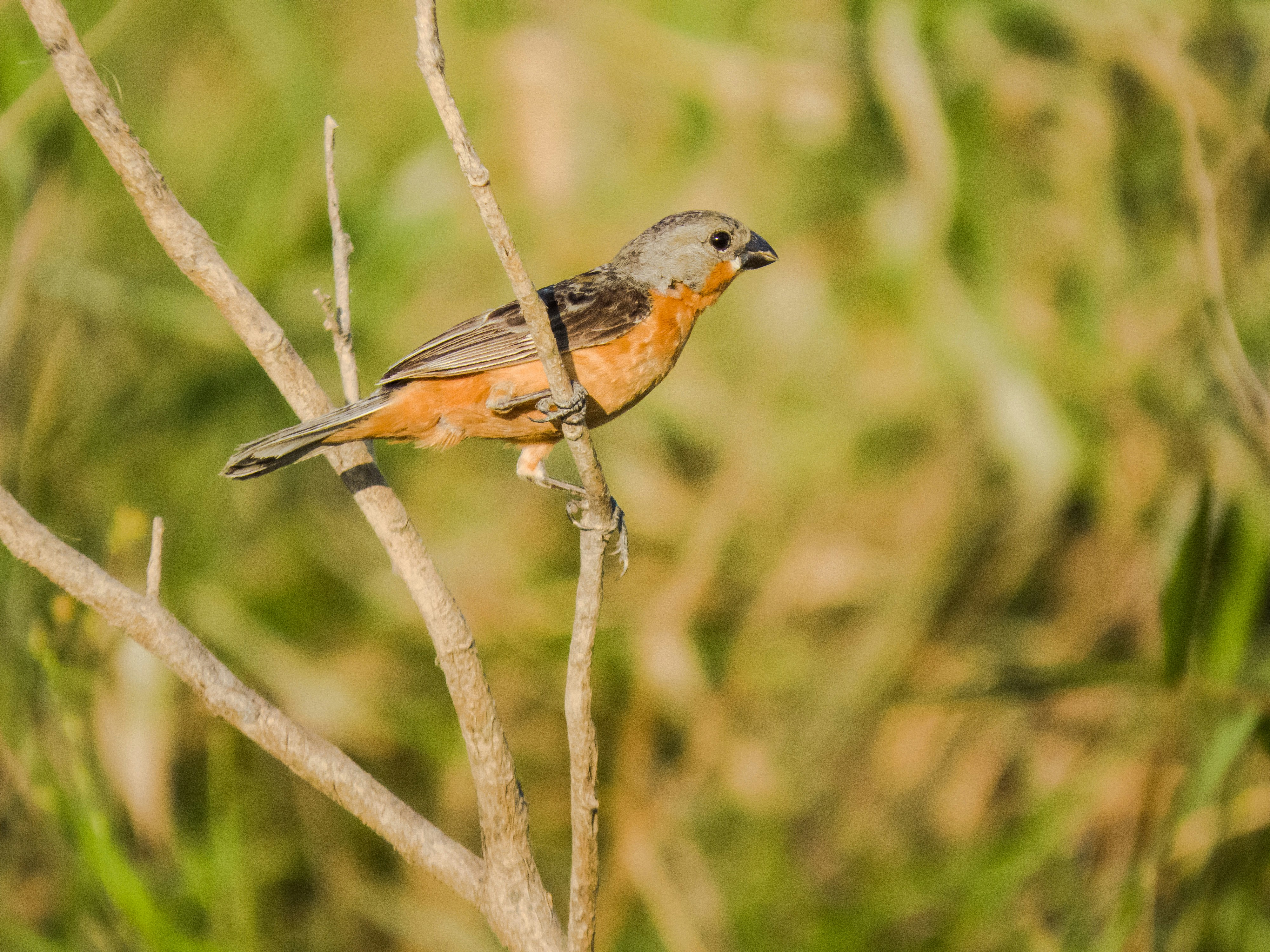 Photo by dienyportinanni