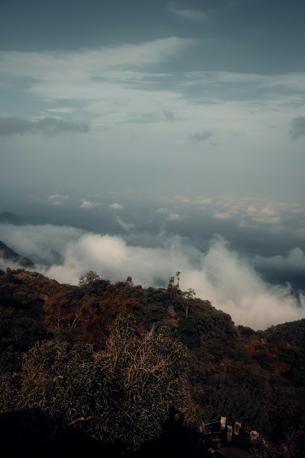 a view of the clouds and trees from the top of a hill