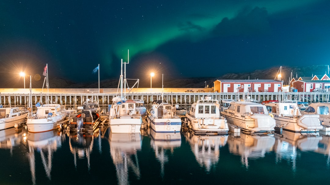 a group of boats are docked in a harbor,