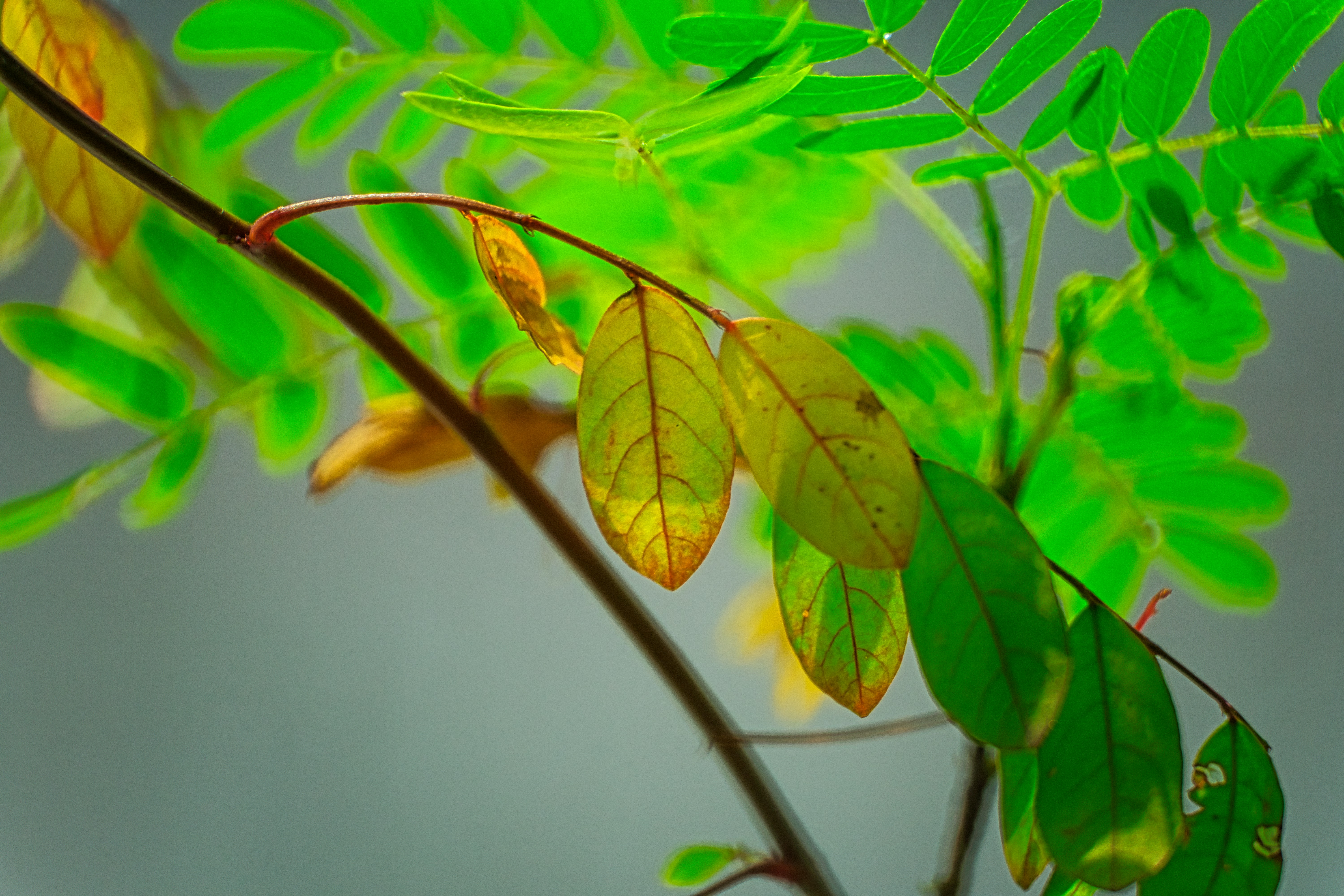 Photo by thomaskinto