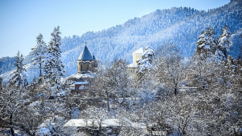 a church in the middle of a snowy forest