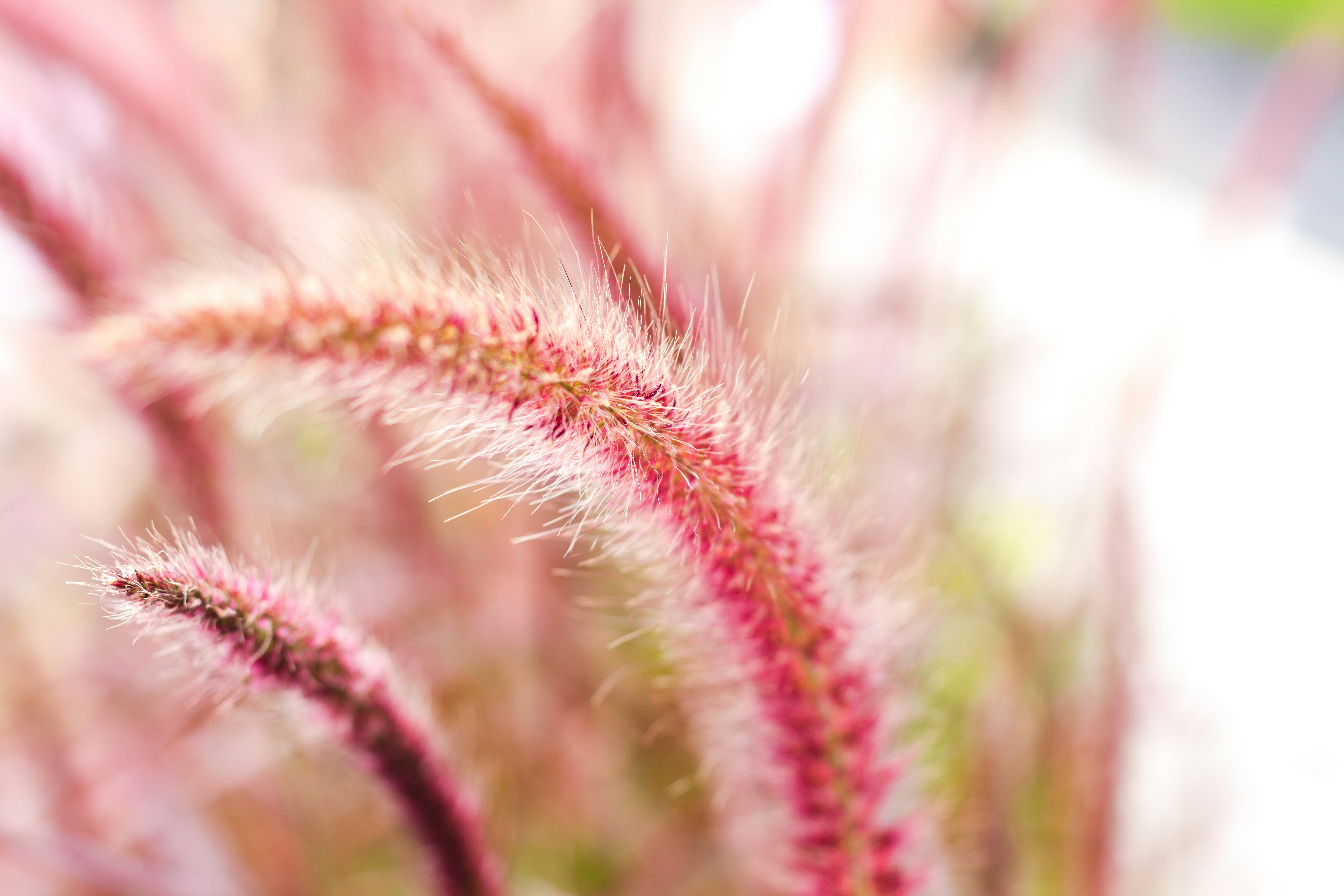 Photo by hazwankosni