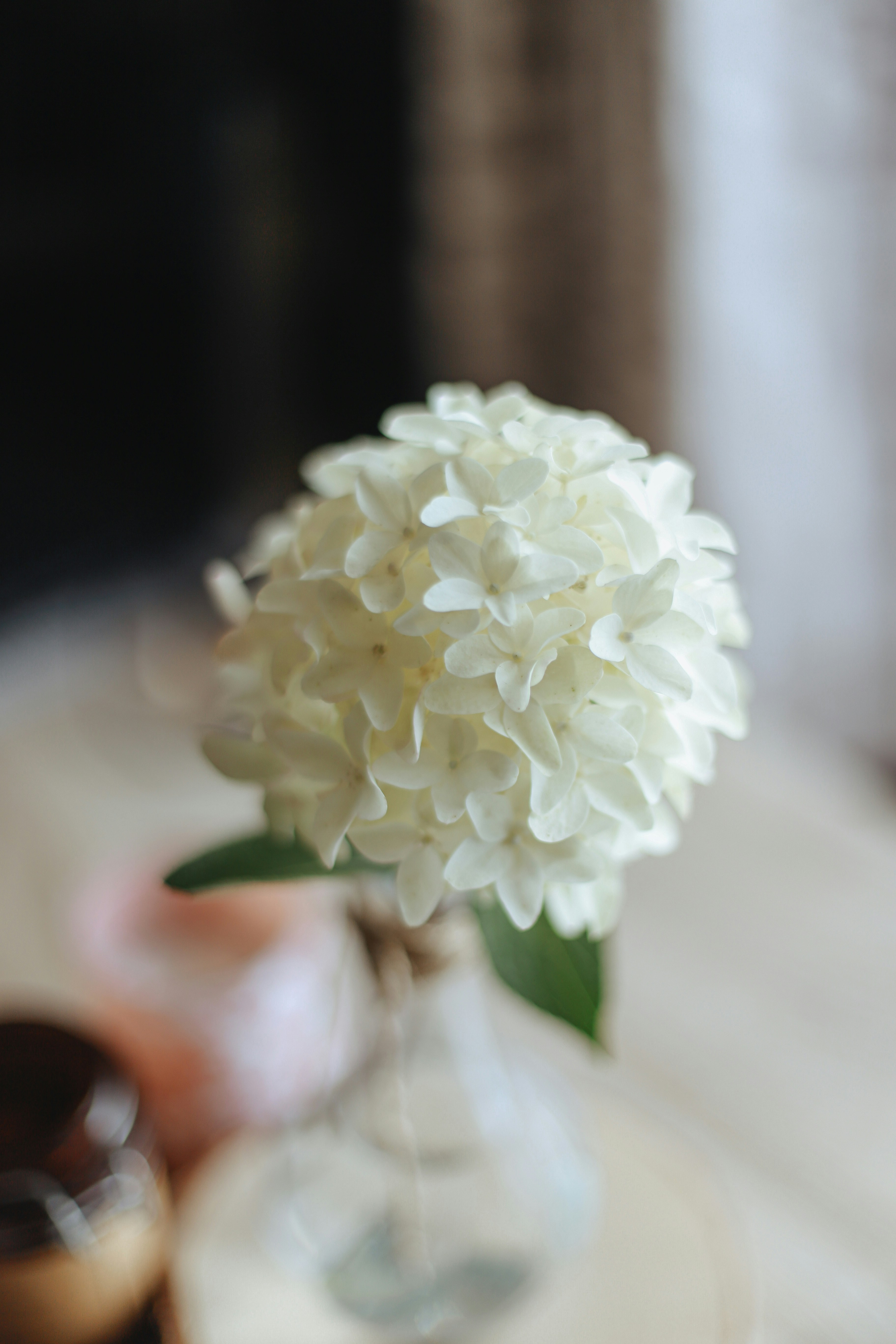 Photo by cozyslowlife