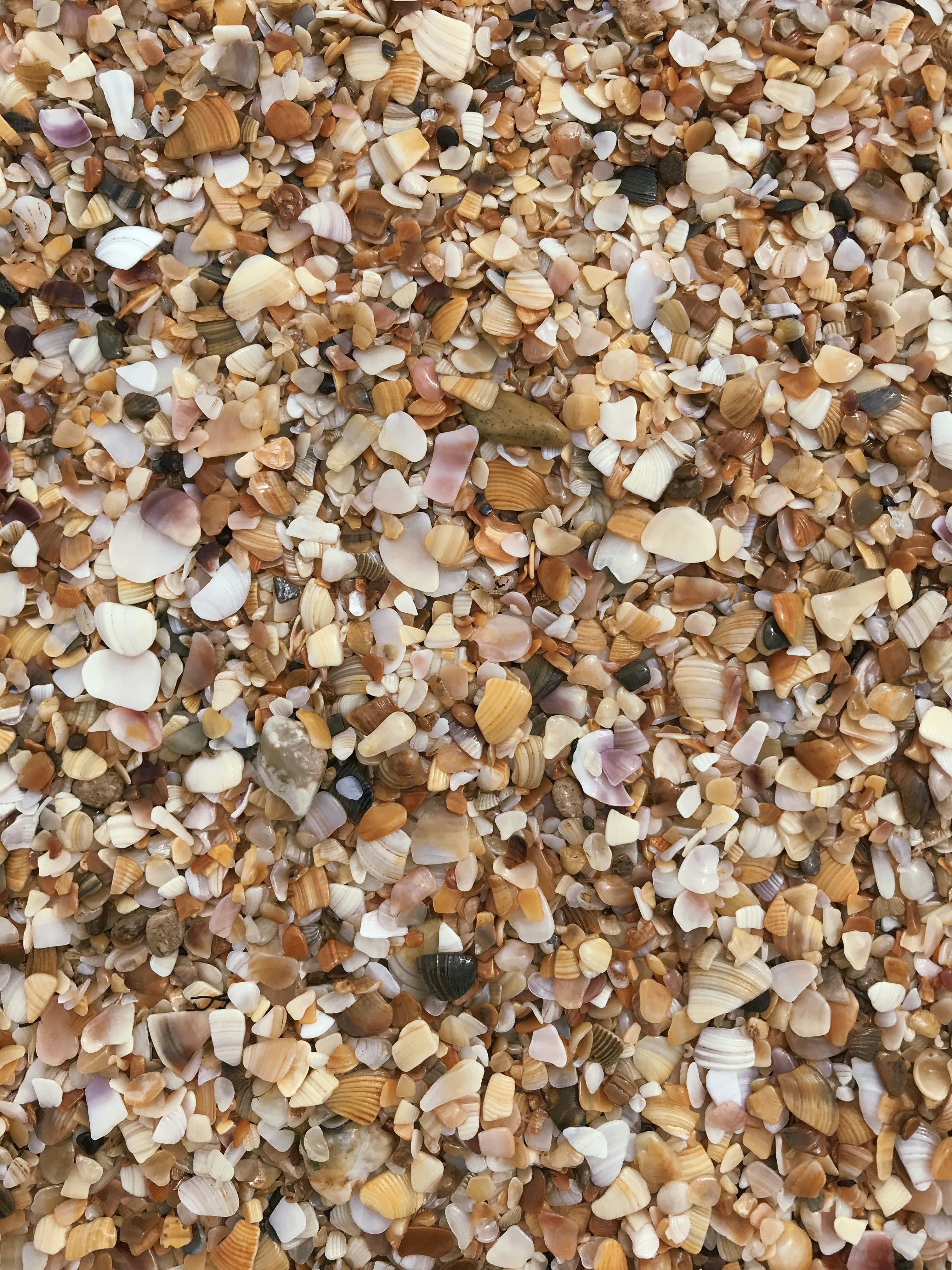 Photo by lana_zorina_ph