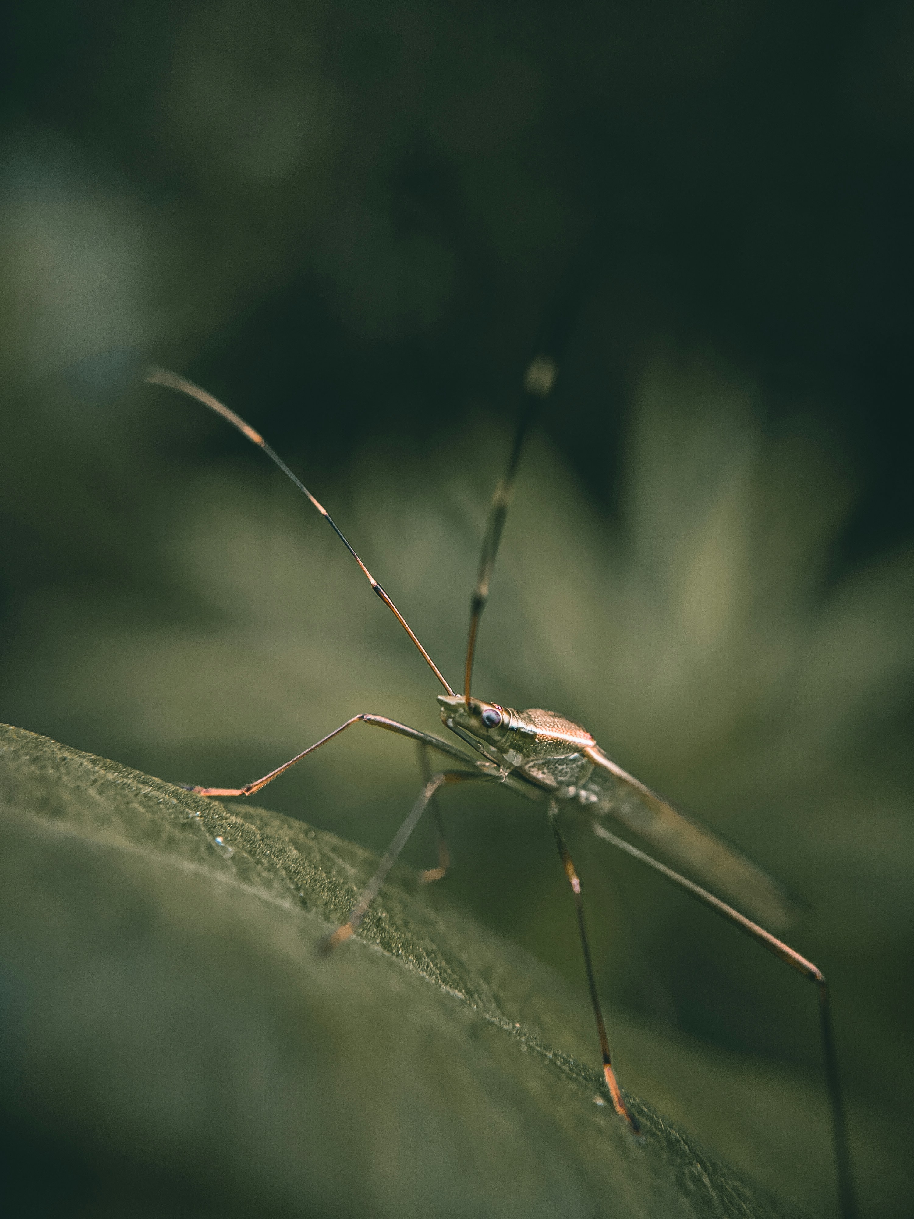 Photo by darkstone_16