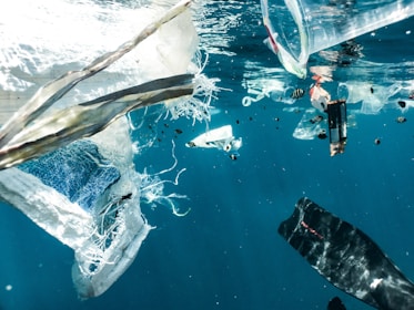 Floating debris and plastic waste are visible underwater. Several pieces of plastic bags, containers, and other trash drift in the clear blue water. Small fish swim among the debris, highlighting the pollution's impact on marine life.