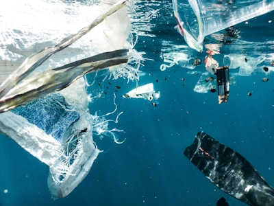 Floating debris and plastic waste are visible underwater. Several pieces of plastic bags, containers, and other trash drift in the clear blue water. Small fish swim among the debris, highlighting the pollution's impact on marine life.