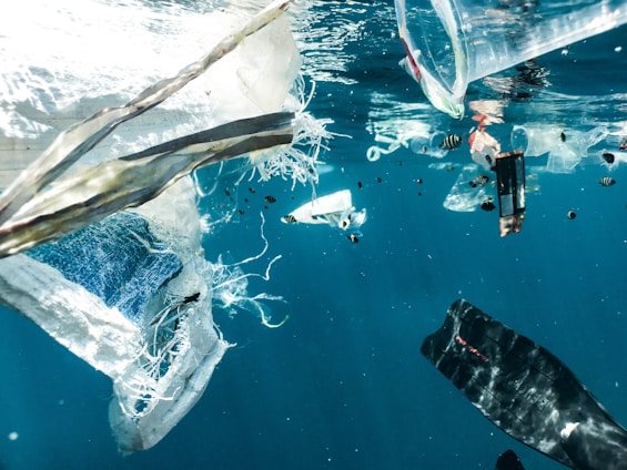 Floating debris and plastic waste are visible underwater. Several pieces of plastic bags, containers, and other trash drift in the clear blue water. Small fish swim among the debris, highlighting the pollution's impact on marine life.