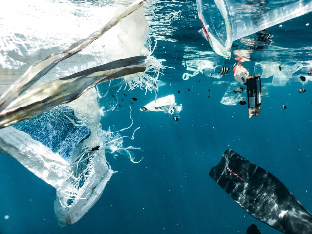 um grupo de lixo flutuando no oceano
