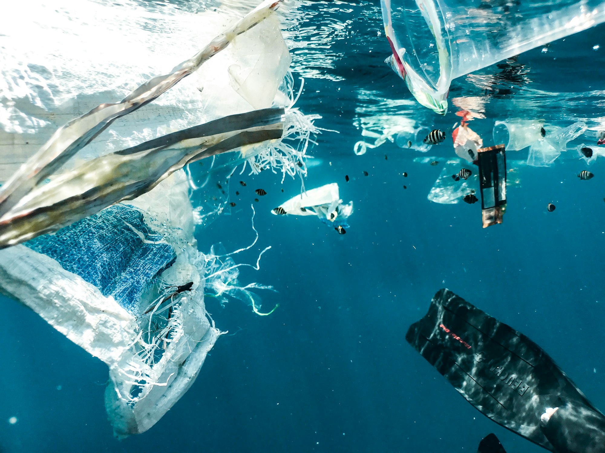 The Ocean Is Under Threat: Microplastics And The Changing Climate