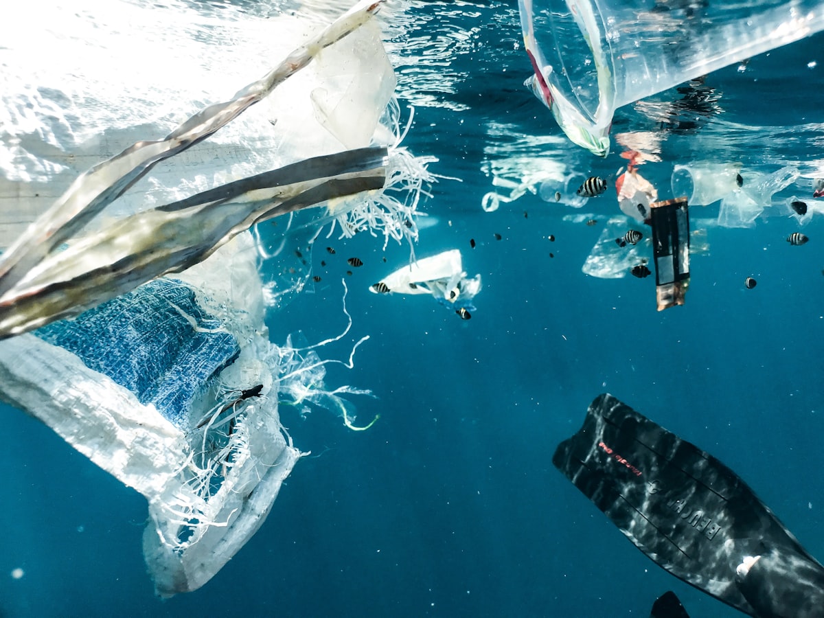 Ocean Plastic: The Scale and the Solutions