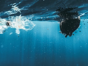 An underwater perspective reveals a clear view of the ocean surface with a variety of debris, including plastic waste, floating above. The water is illuminated by natural light, creating a serene yet unsettling view of pollution beneath the tranquility.