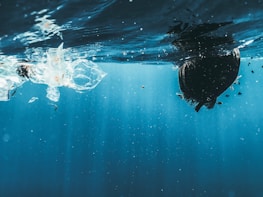 Close-up of underwater camera capturing images of sea life and seabed pollution.