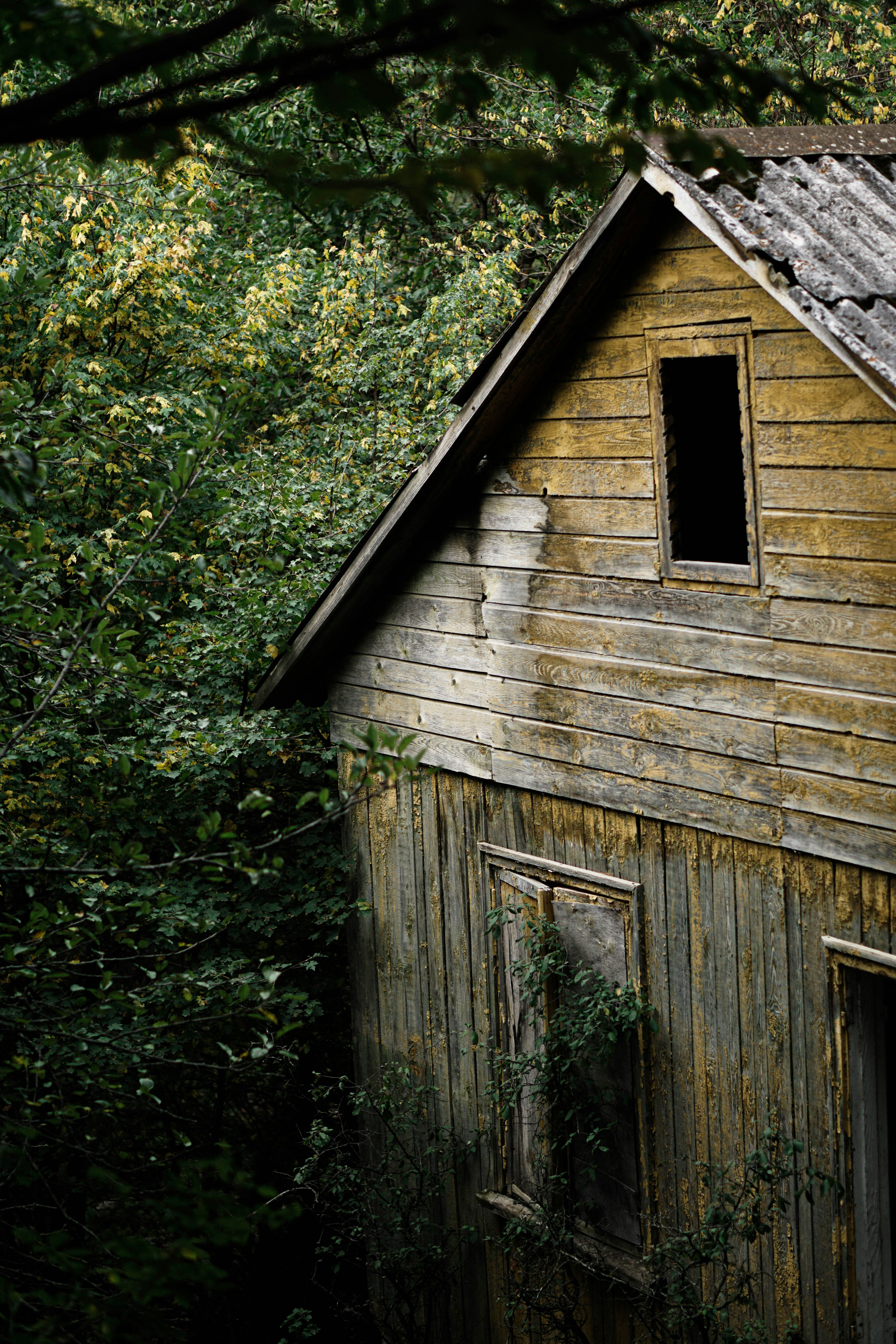 Photo by shushan_mln