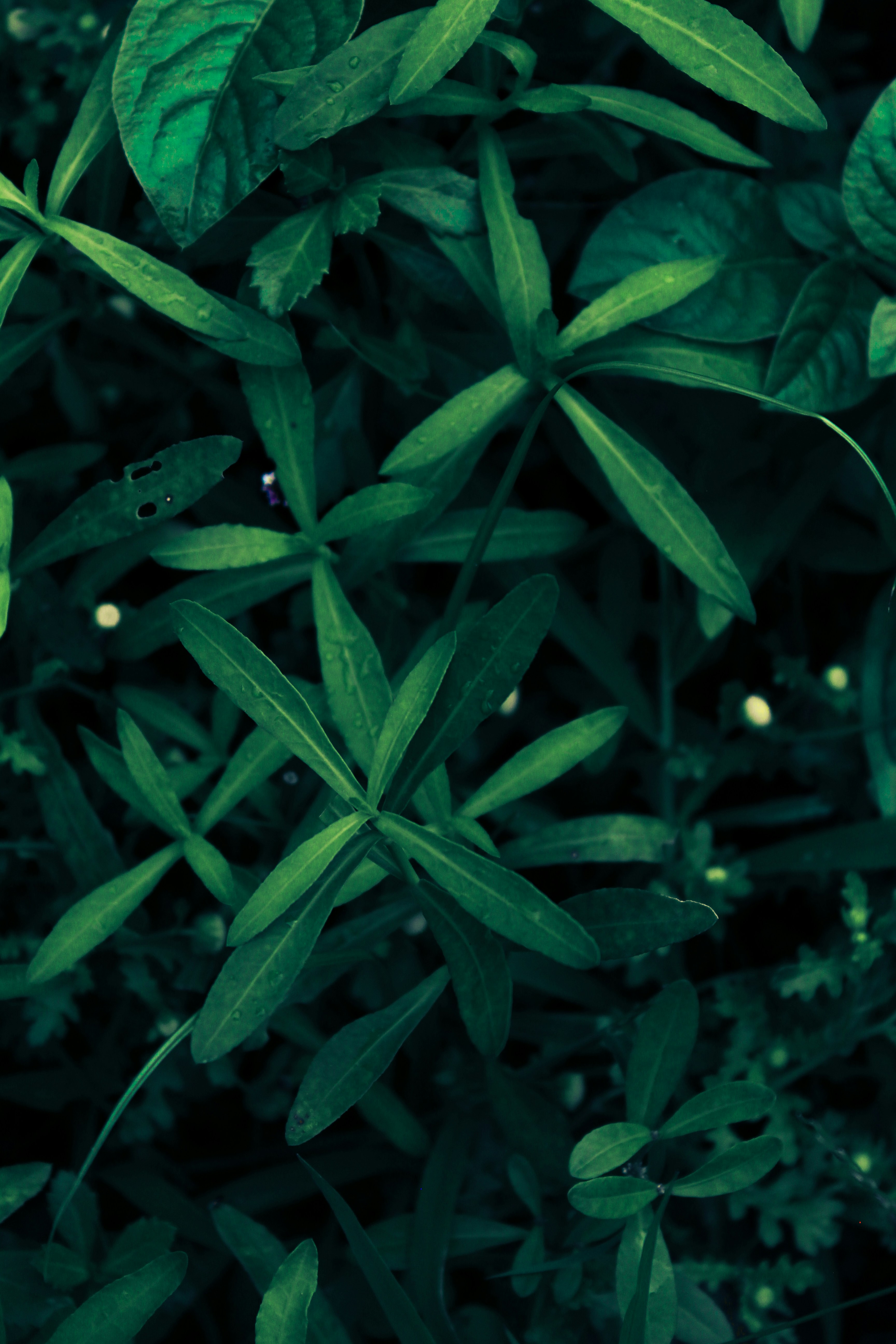 Photo by subhro_vision