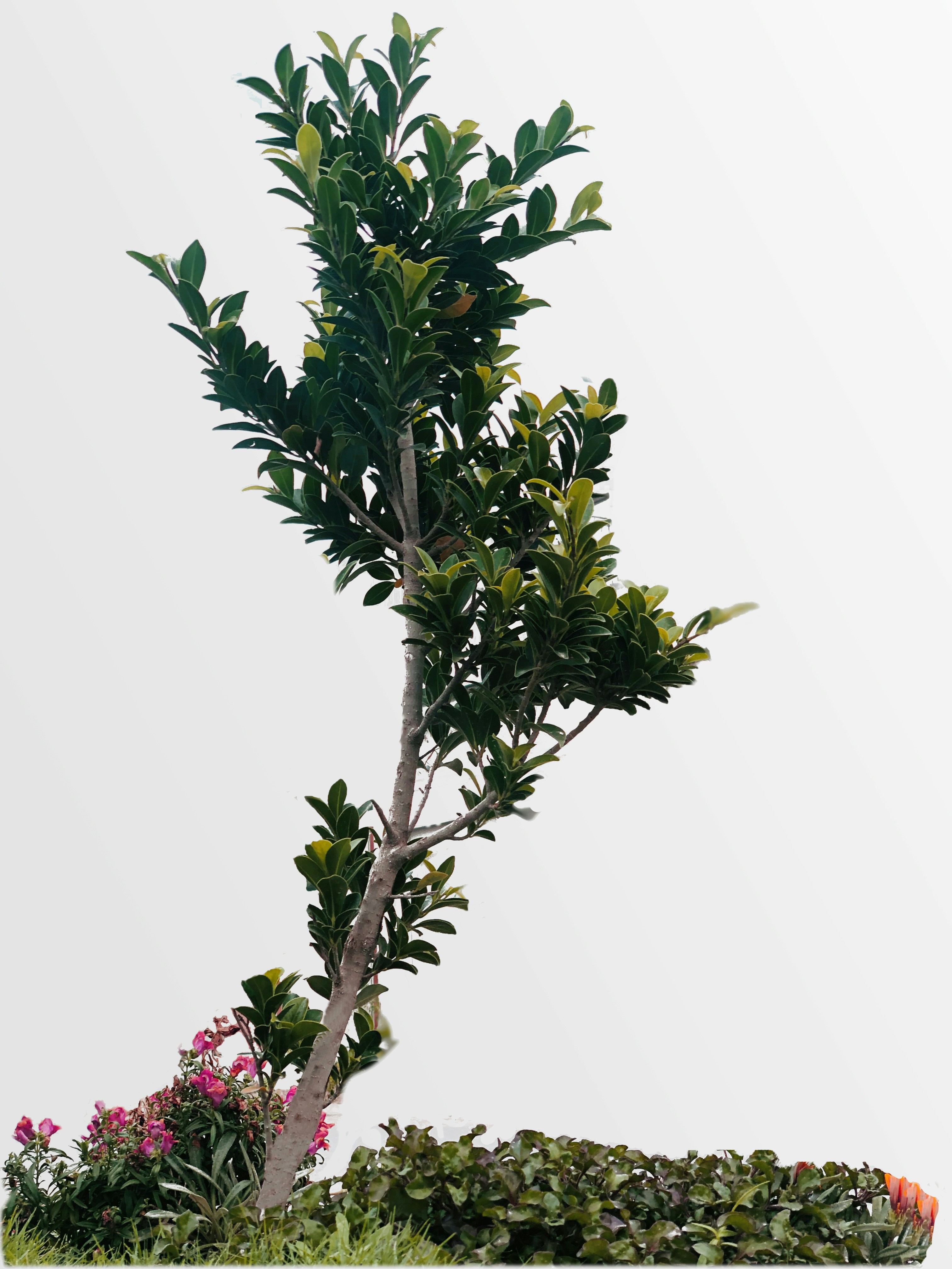 Photo by ibad_sohail