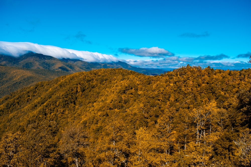 a view of a mountain range with trees in the foreground and clouds in the