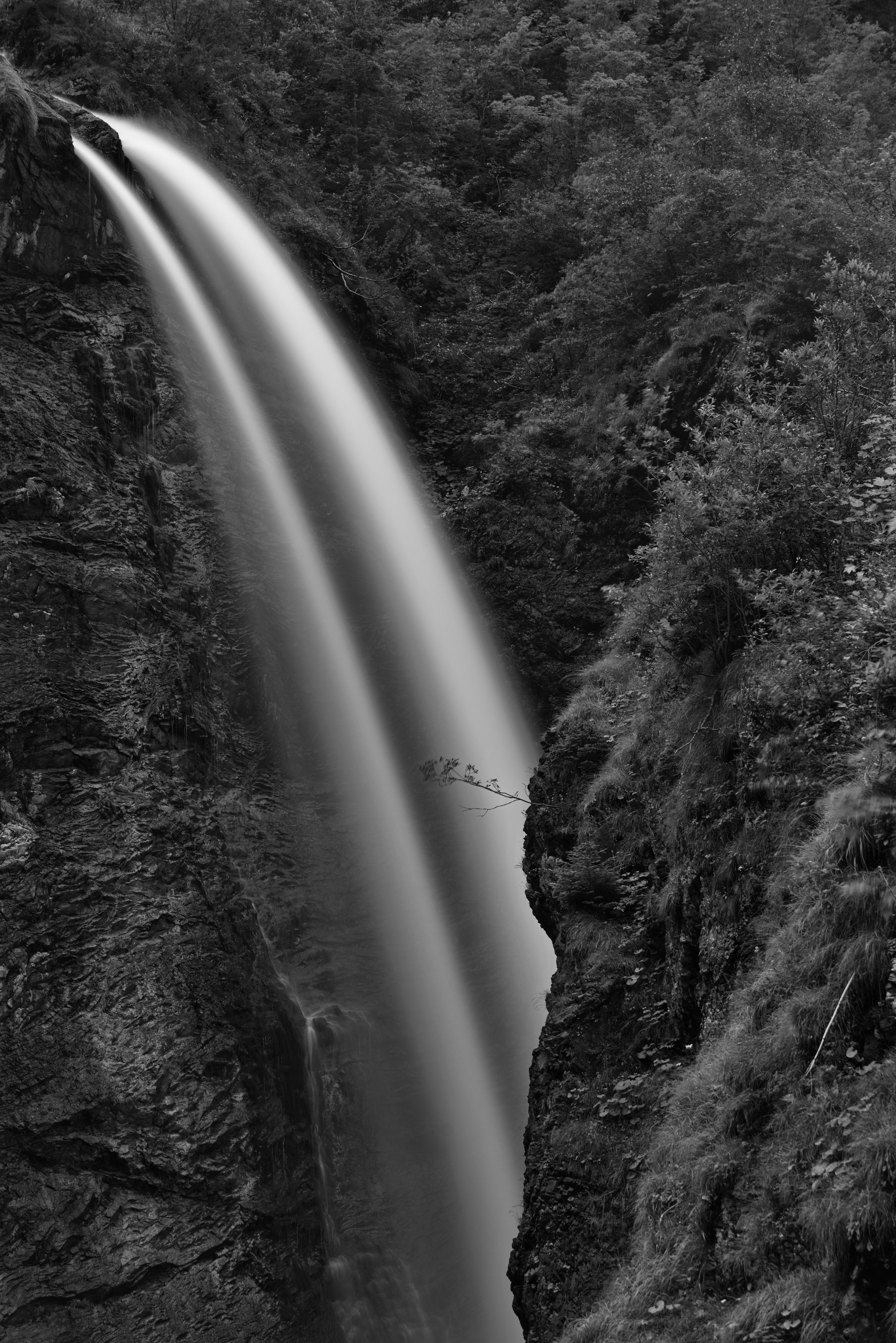 Photo by der_niederrainer