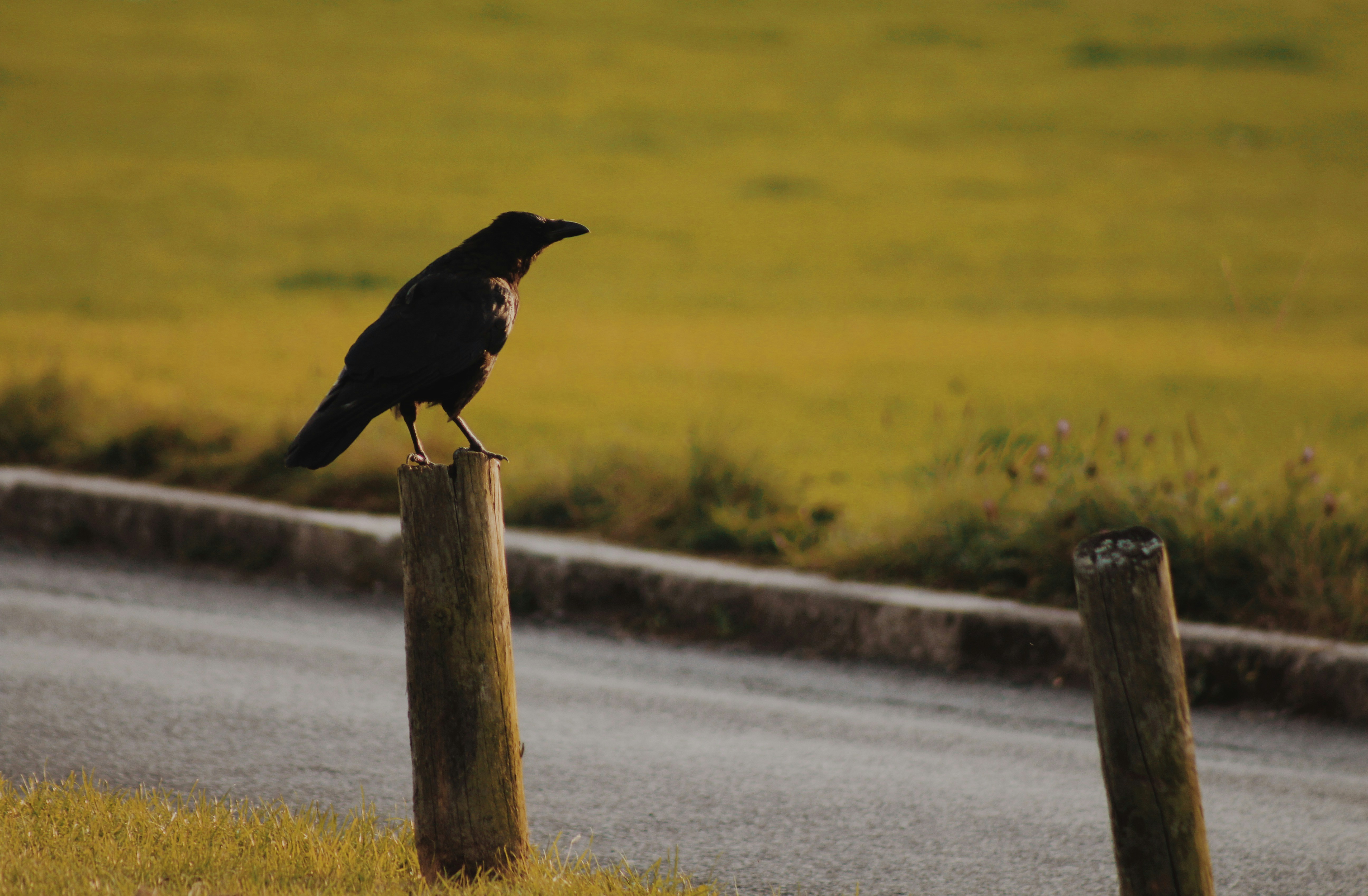 Photo by matildarchive