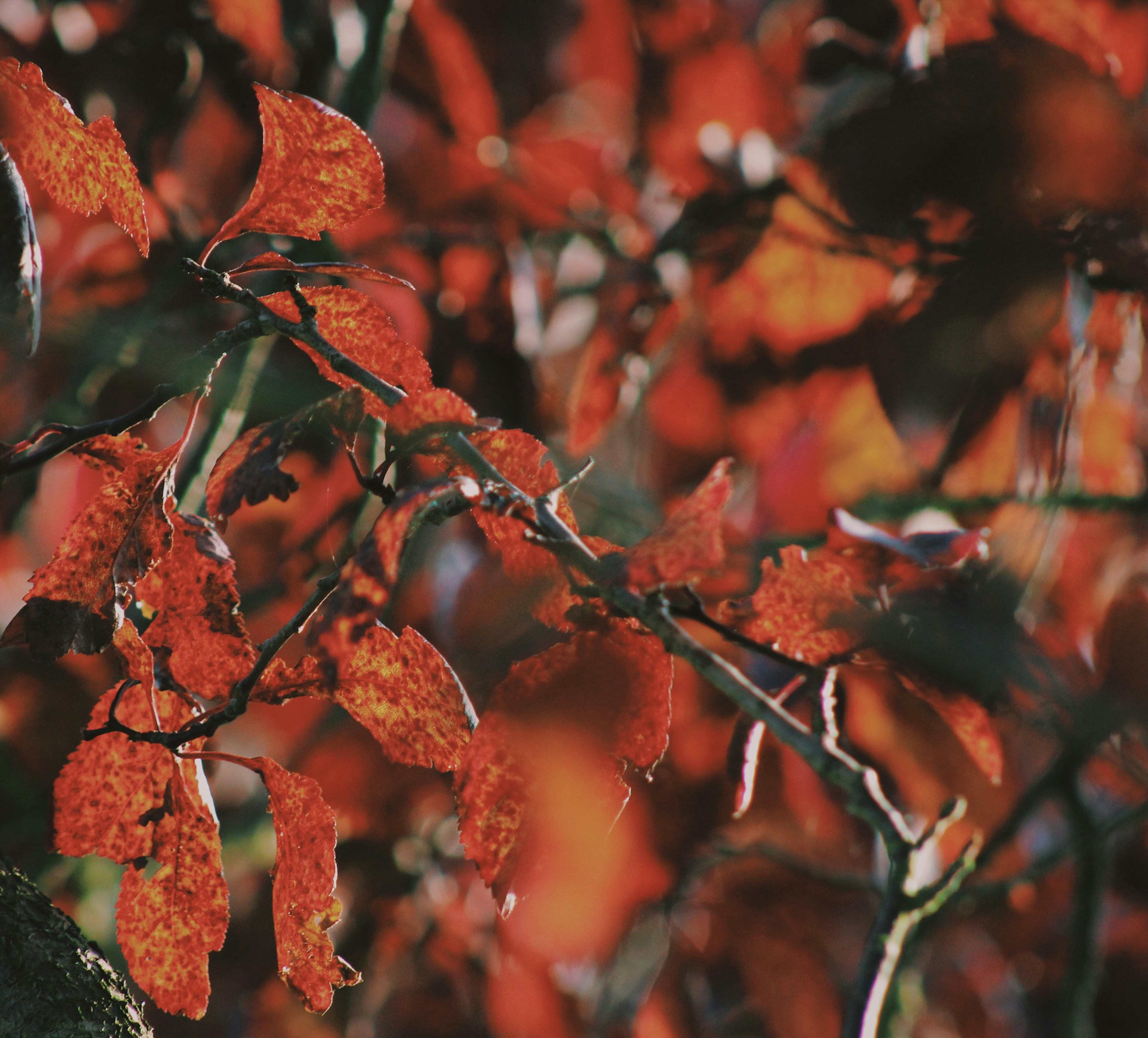 Photo by matildarchive