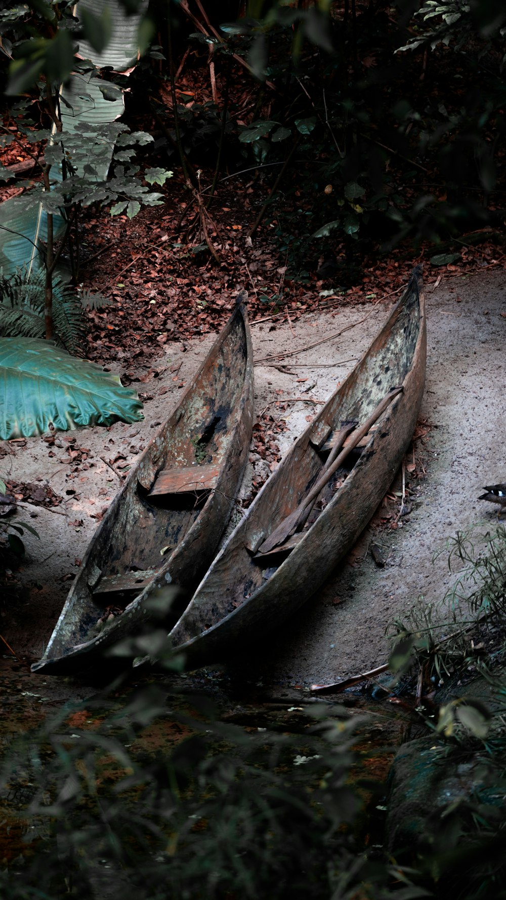 two canoes sitting on the ground next to a body of water