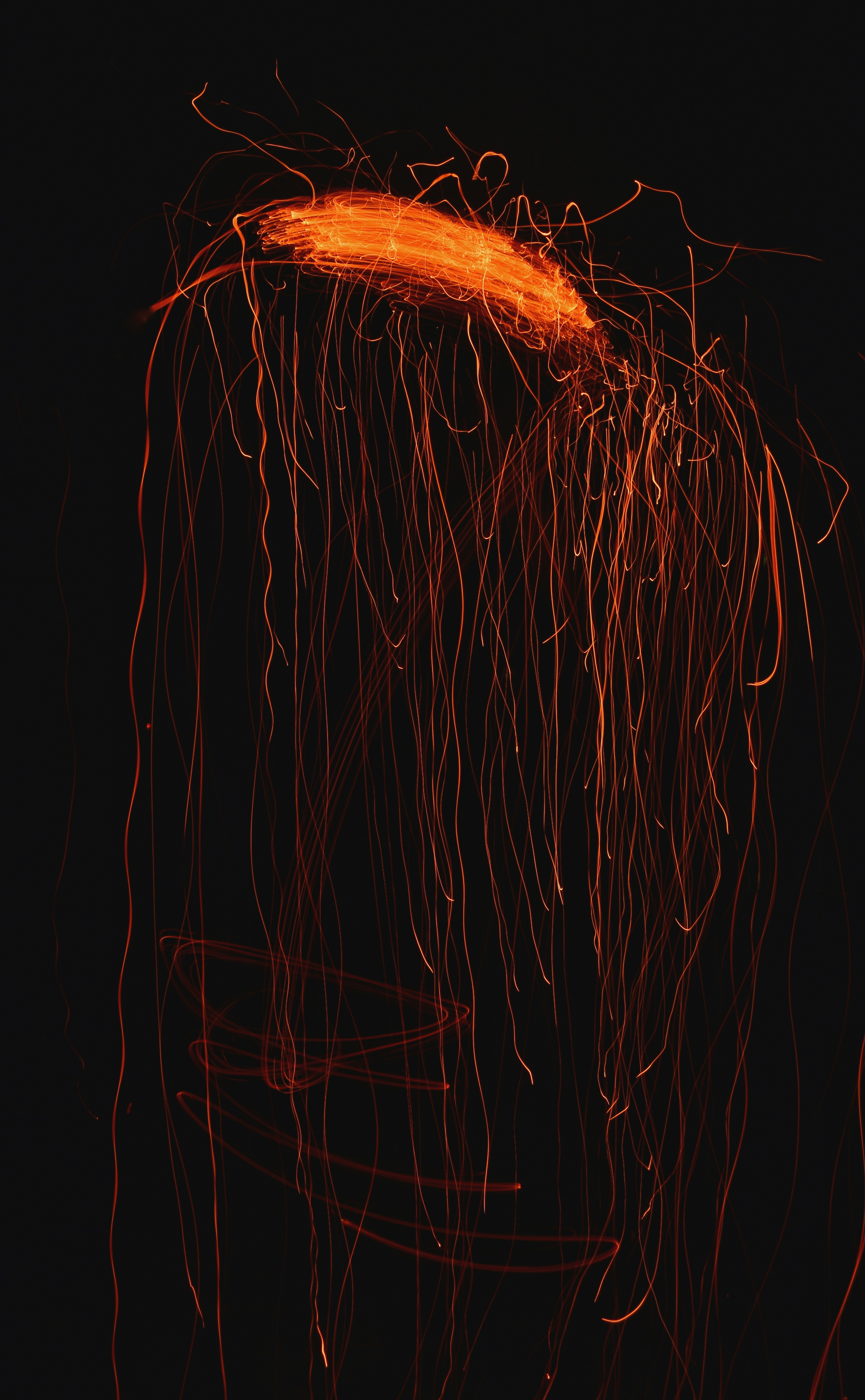 Photo by atomsmasher