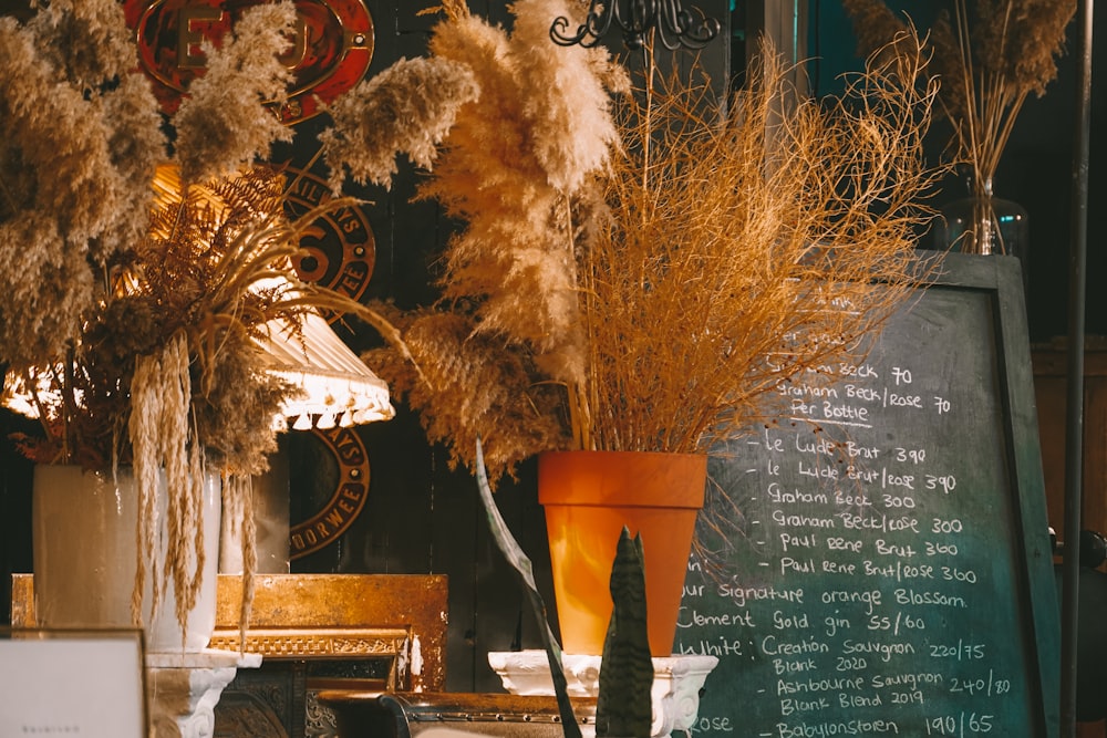 a table with a chalk board and a potted plant