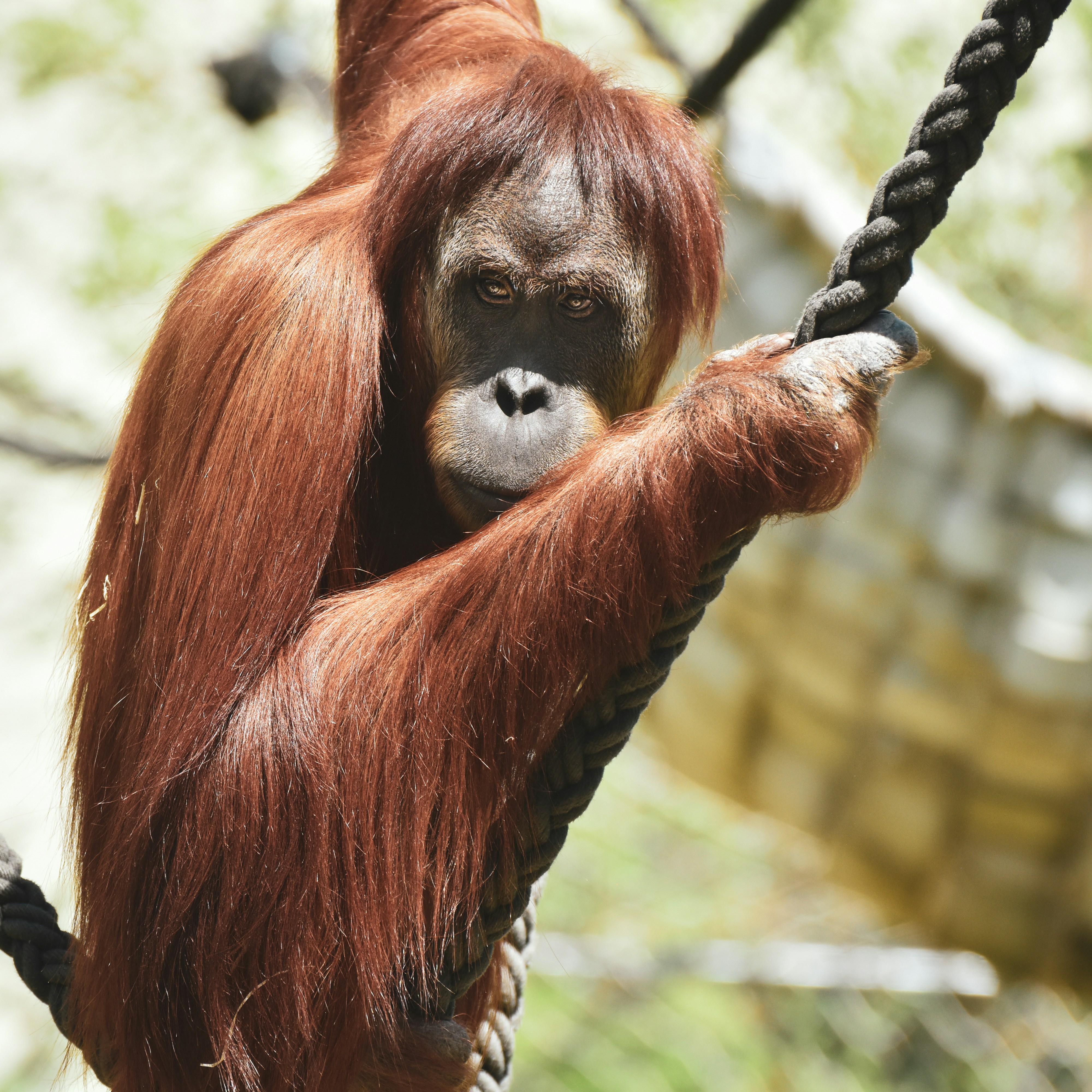 Photo by alexas_fotos