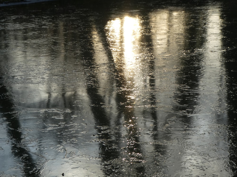 the sun shines through the trees on a rainy day