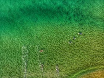 a group of people riding surfboards on top of a body of water