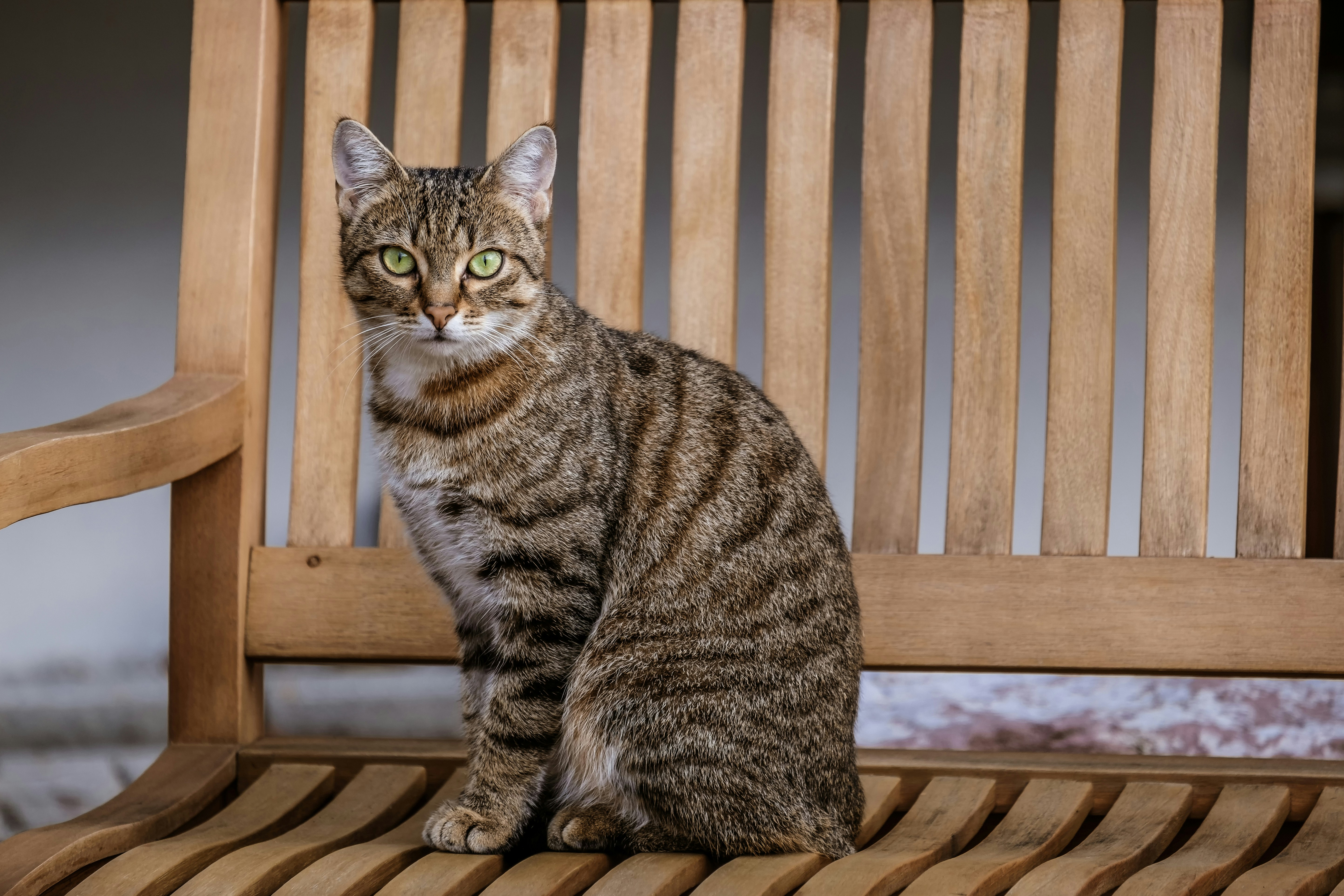 Photo by couleuroriginal