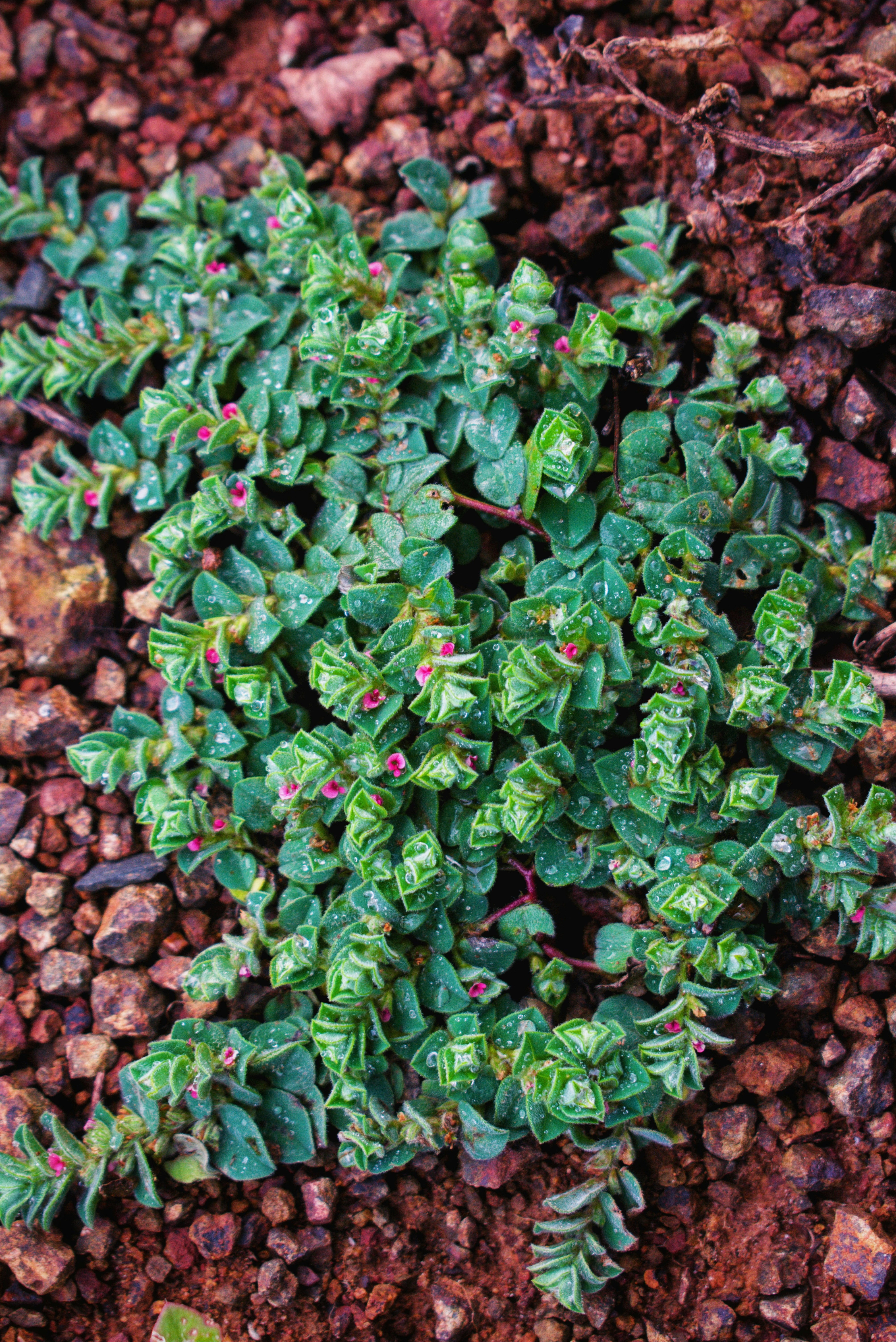 Photo by atomsmasher