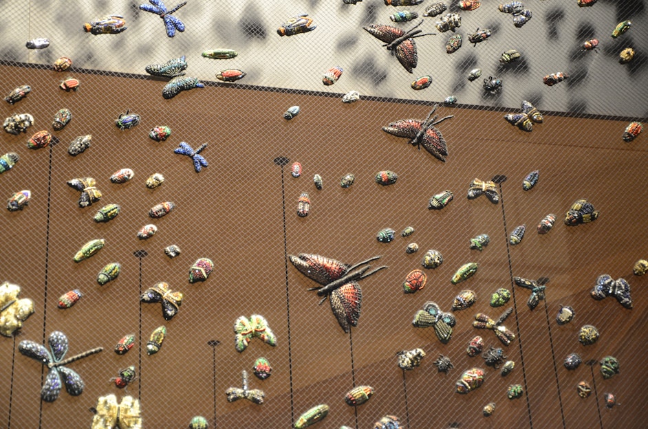 A collection of various intricately detailed beetle and butterfly specimens is displayed against a brown backdrop. Each insect is pinned and showcased for observation, showcasing vibrant colors and patterns.