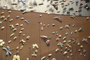A collection of various intricately detailed beetle and butterfly specimens is displayed against a brown backdrop. Each insect is pinned and showcased for observation, showcasing vibrant colors and patterns.