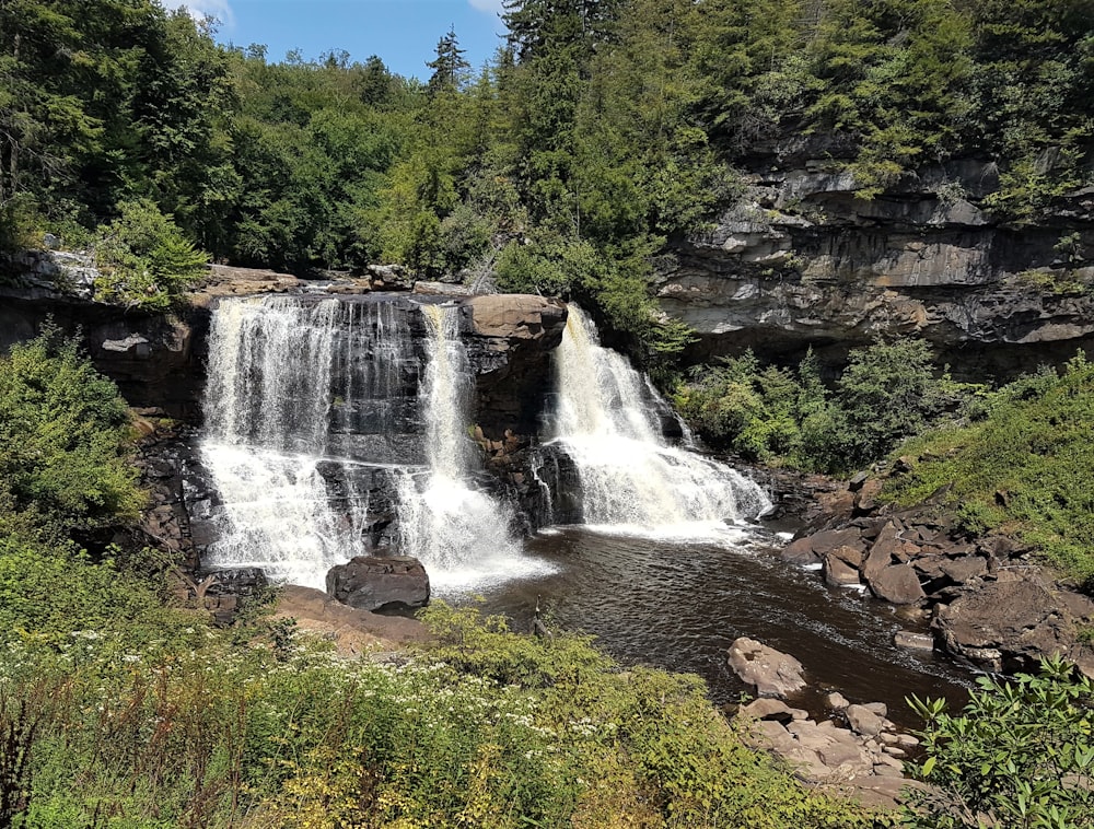 a large waterfall in the middle of a forest