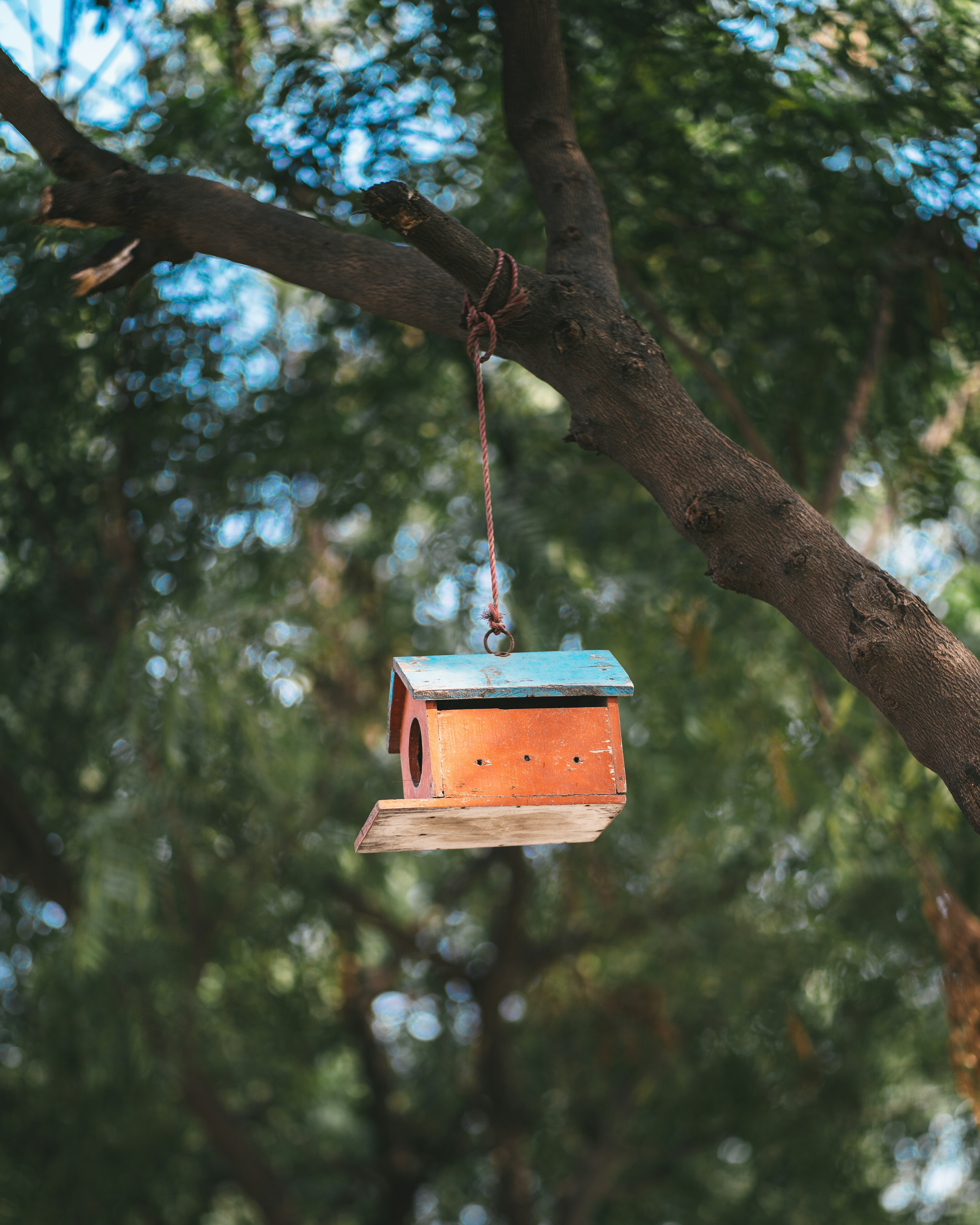 Photo by singhrupinder