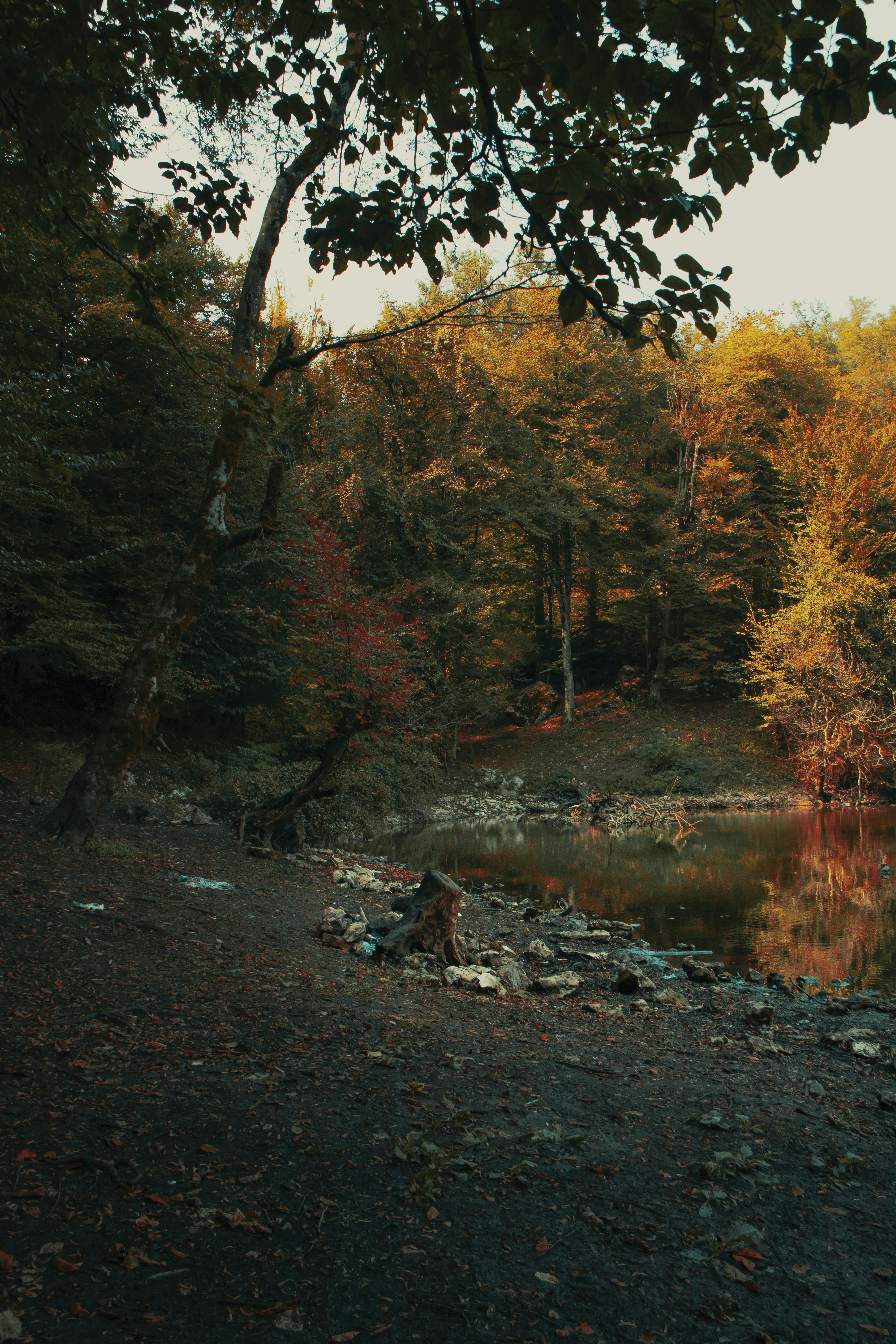 Photo by mahdibafande