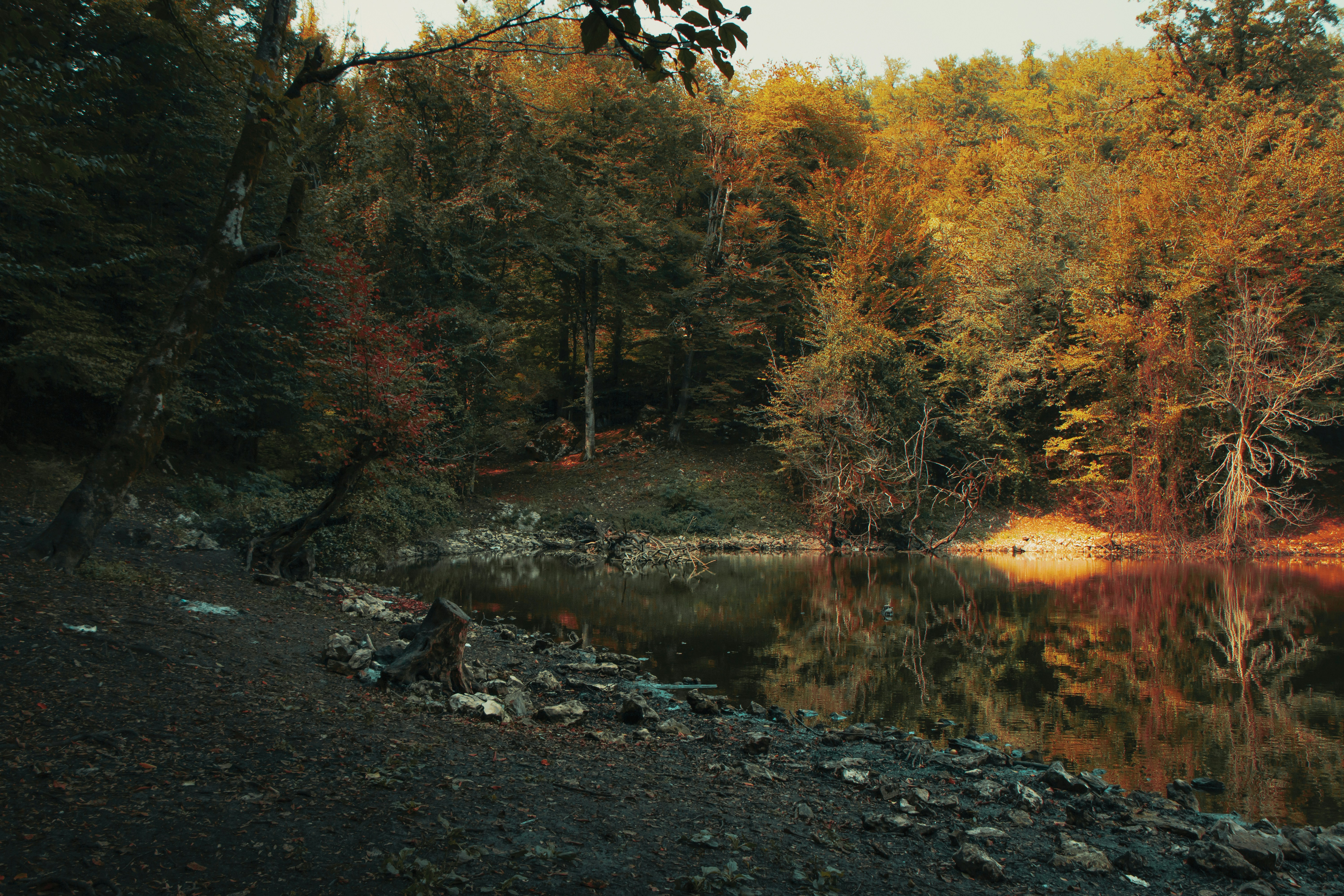 Photo by mahdibafande